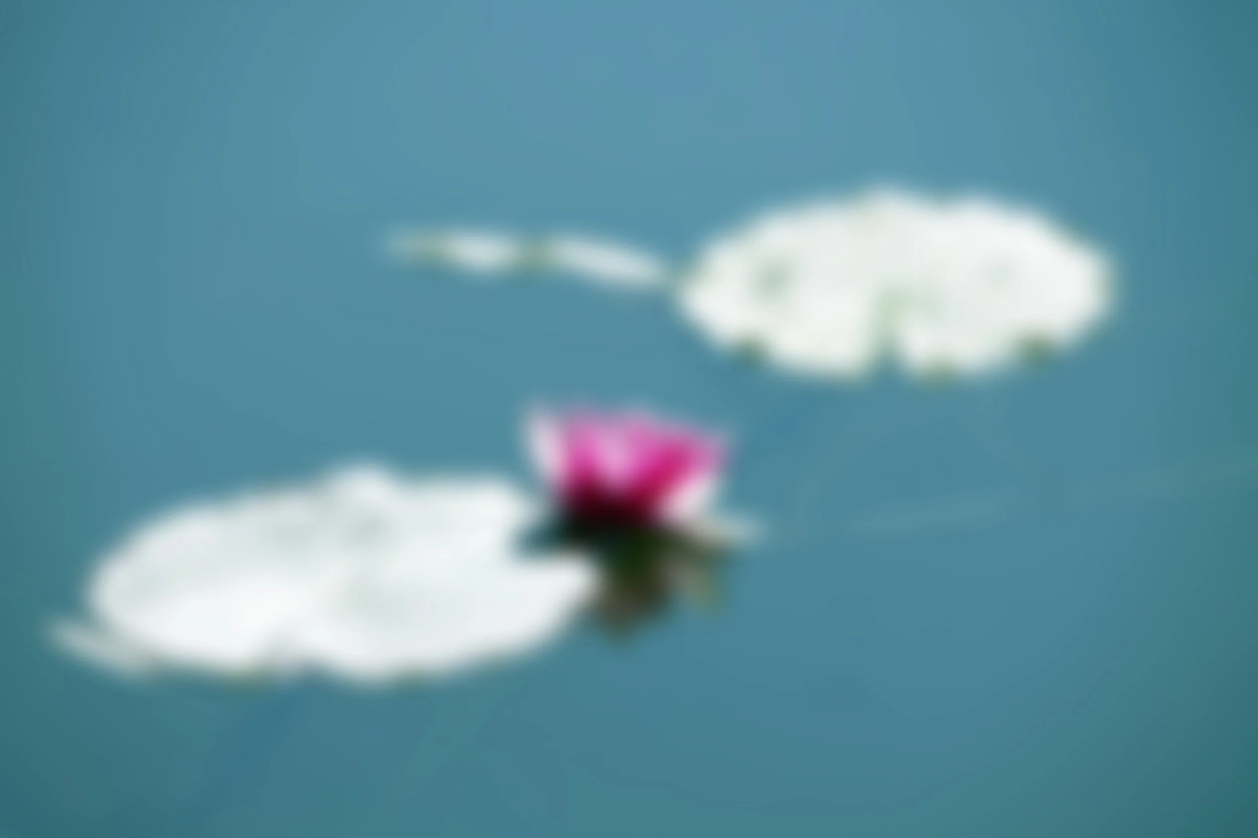 unsplash-image-NNpLXmhA_Yk.jpg