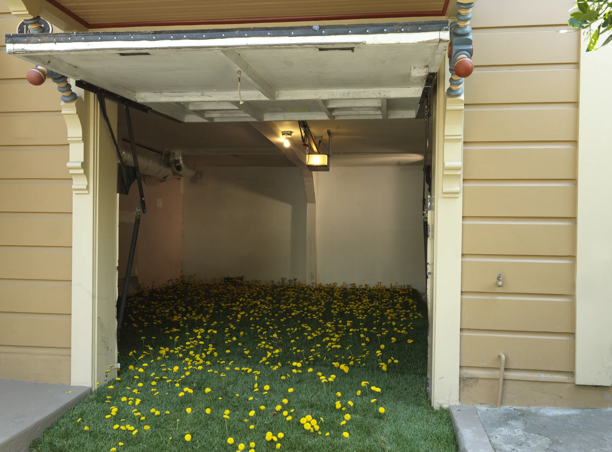 Flowers, 2014, c-print, 34” x 46”