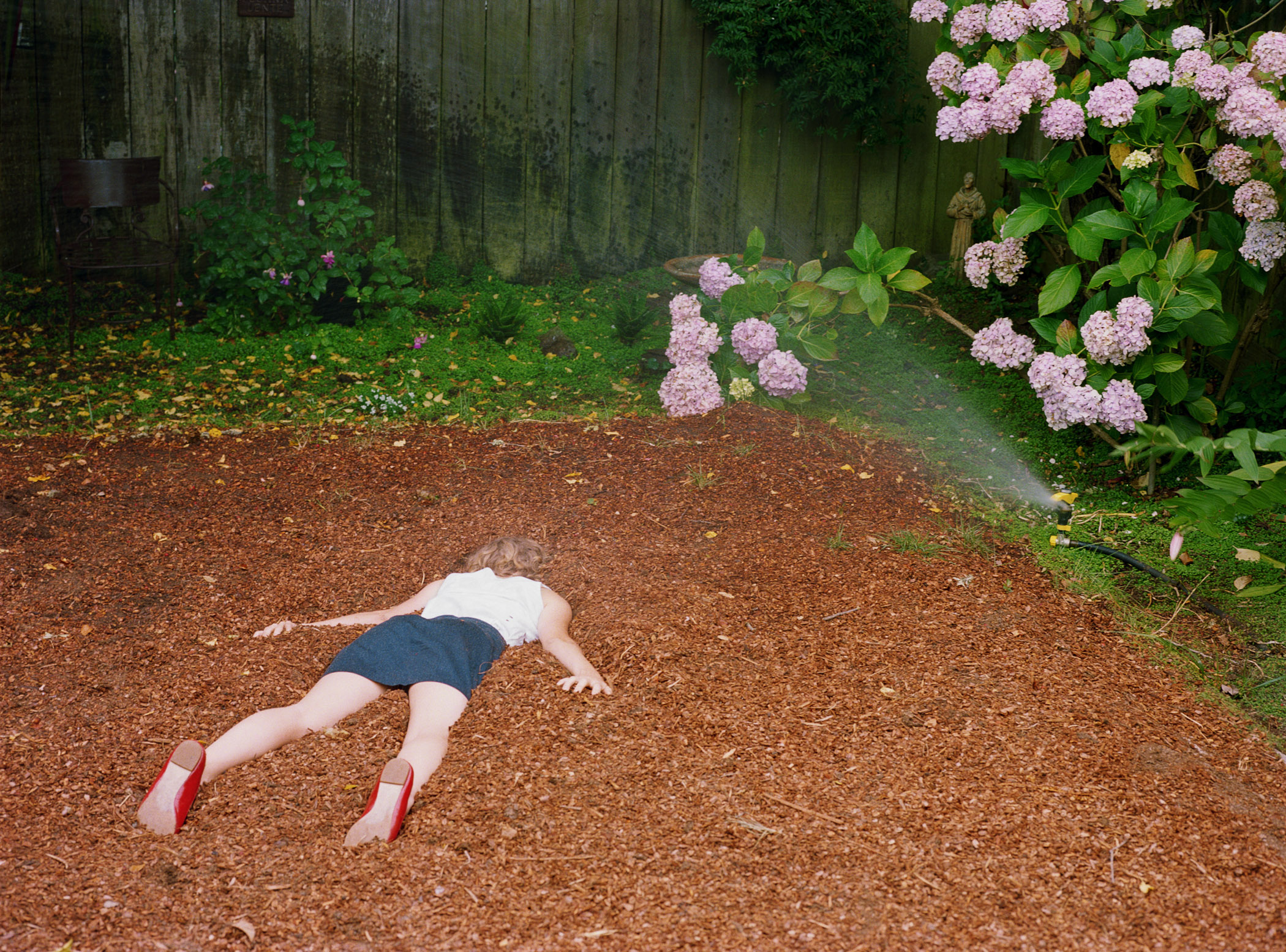 Level with the Backyard, 2011, c-print, 25” x 34”