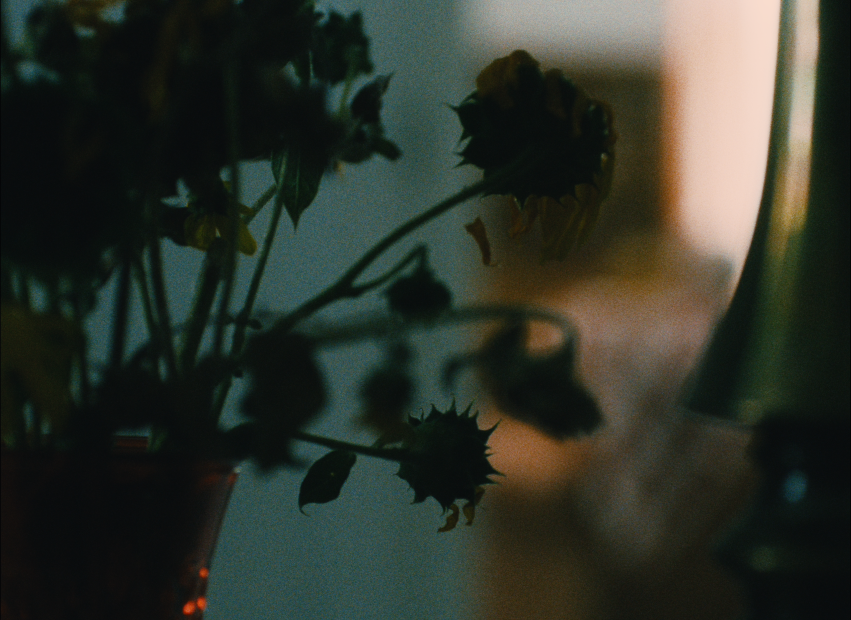 THEMOLD_COLOR7.00_54_28_13.Still185.png