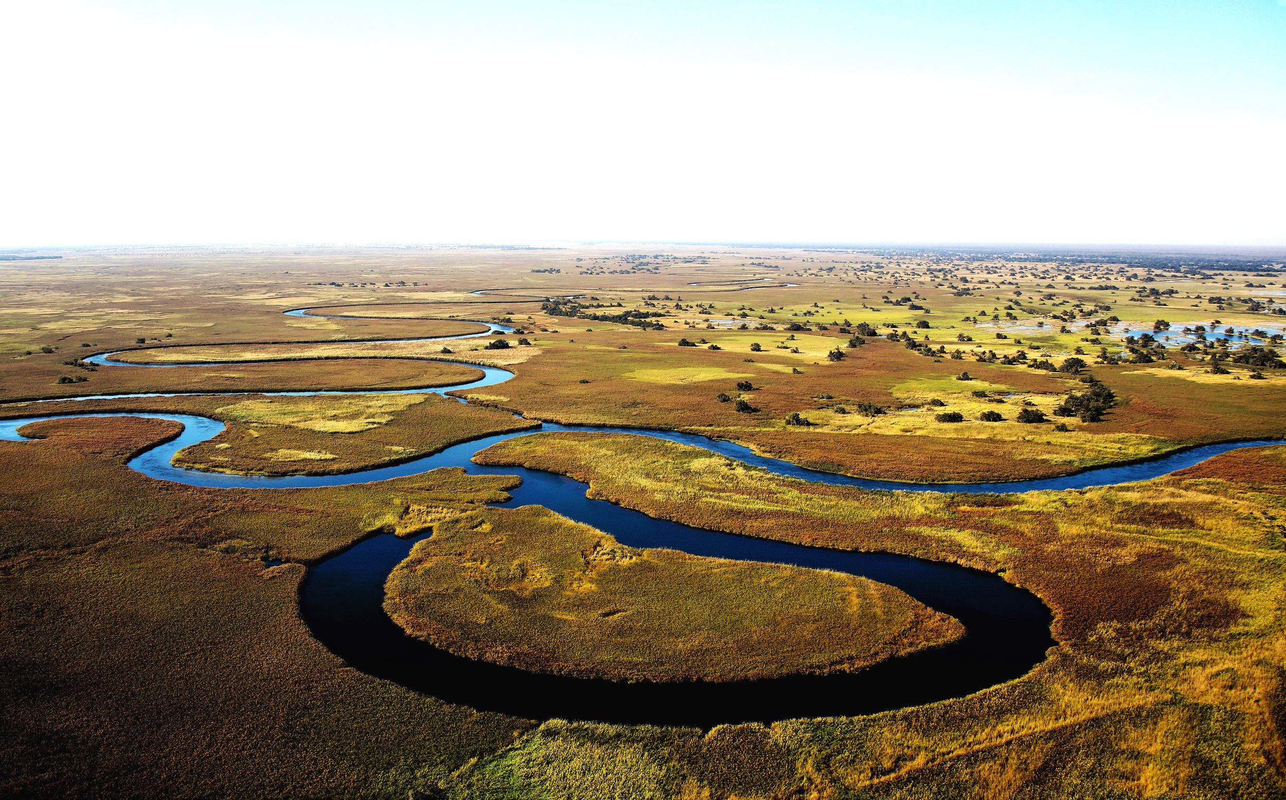 The combination of water and wildlife in the Okavango Delta