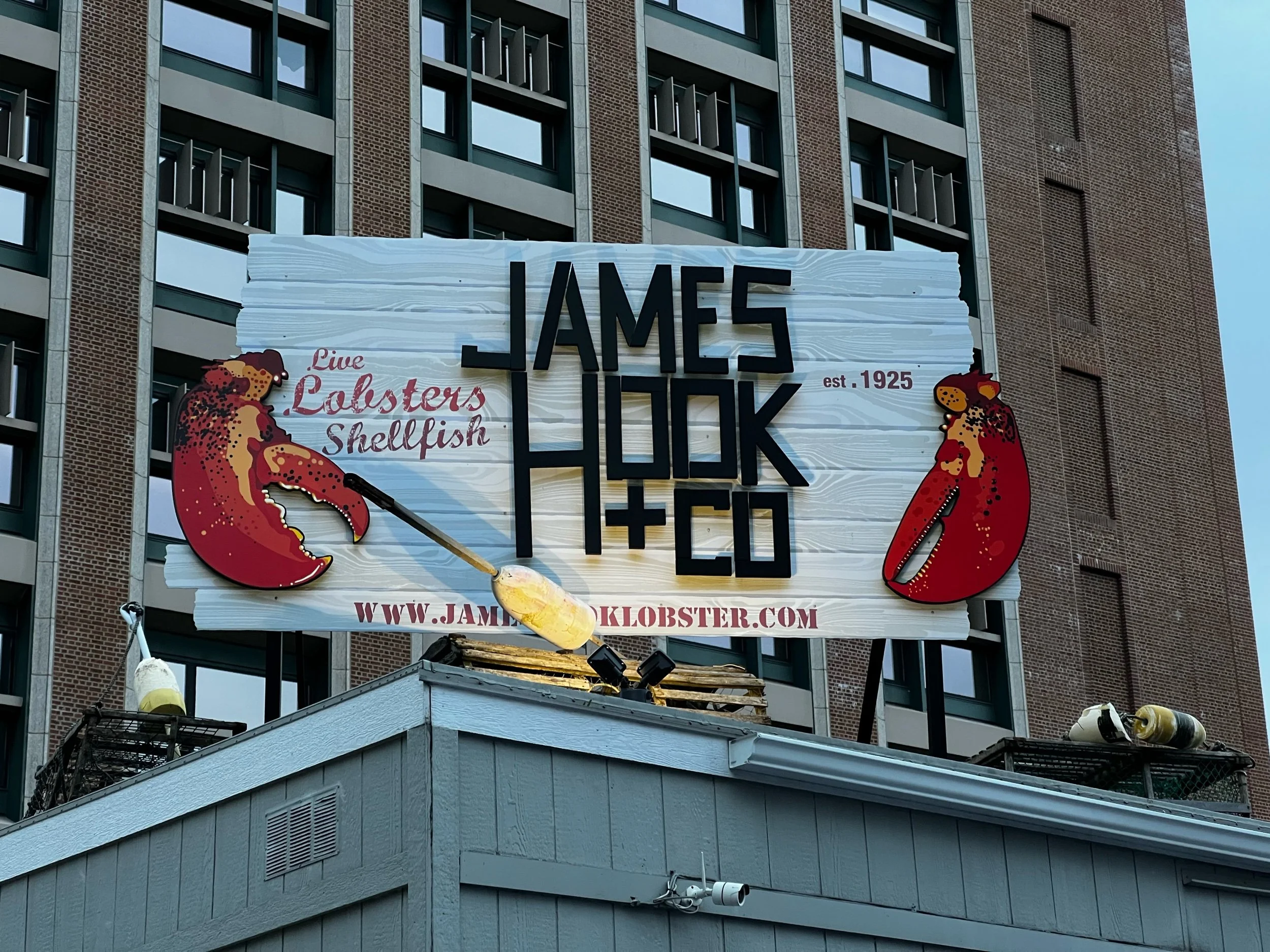 IMG_0342.jpeg