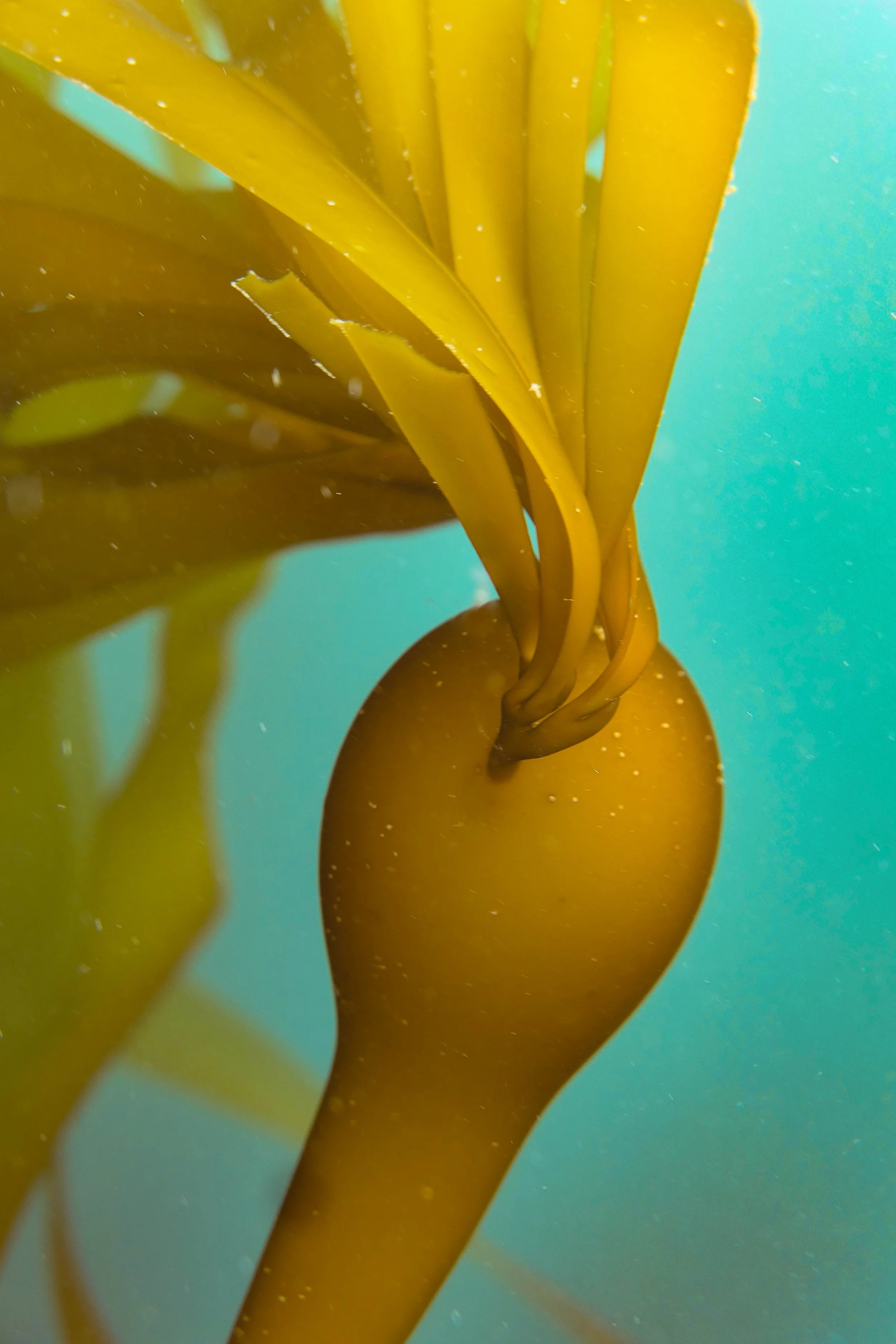 P1060154.jpg