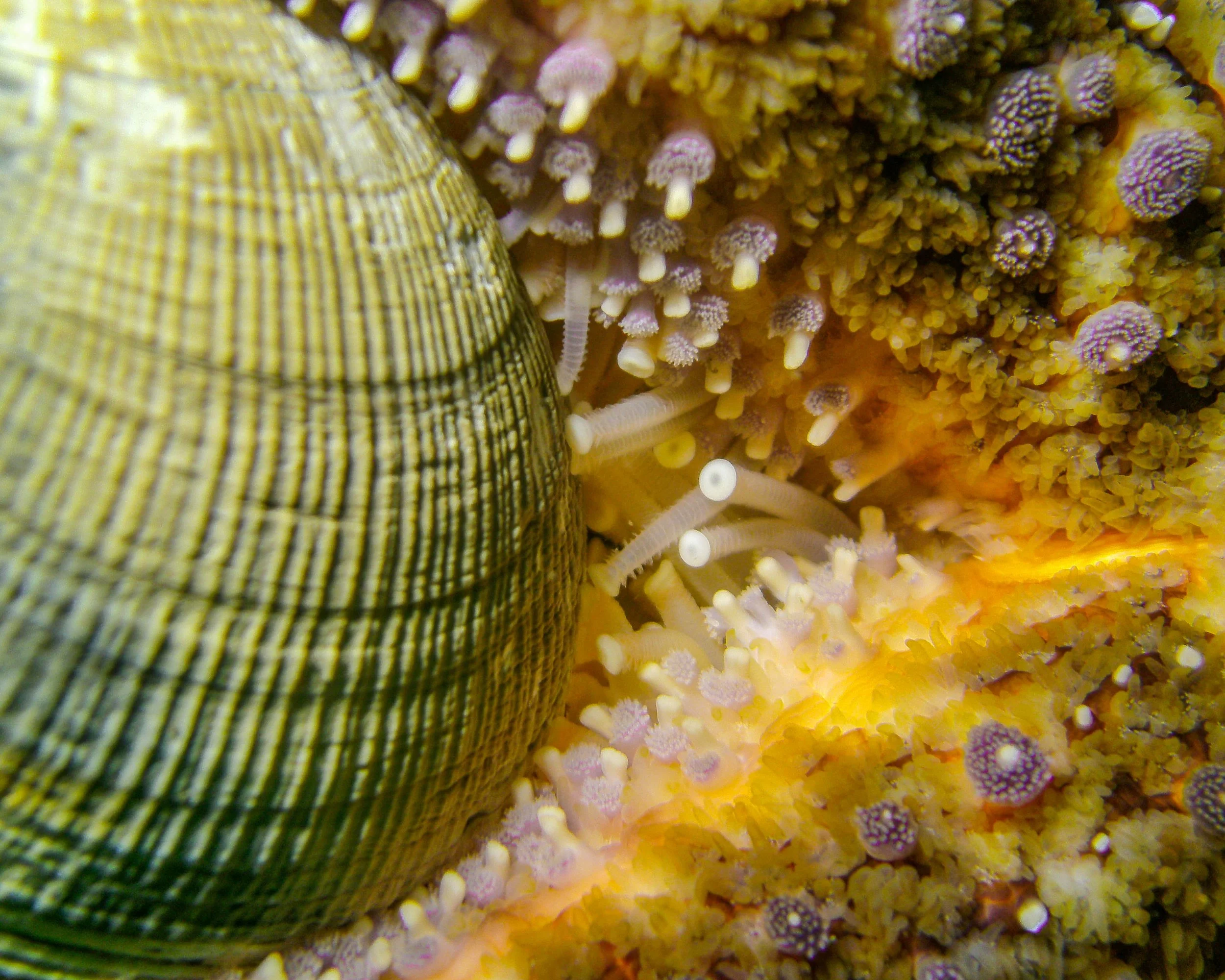 PICT0237.jpg