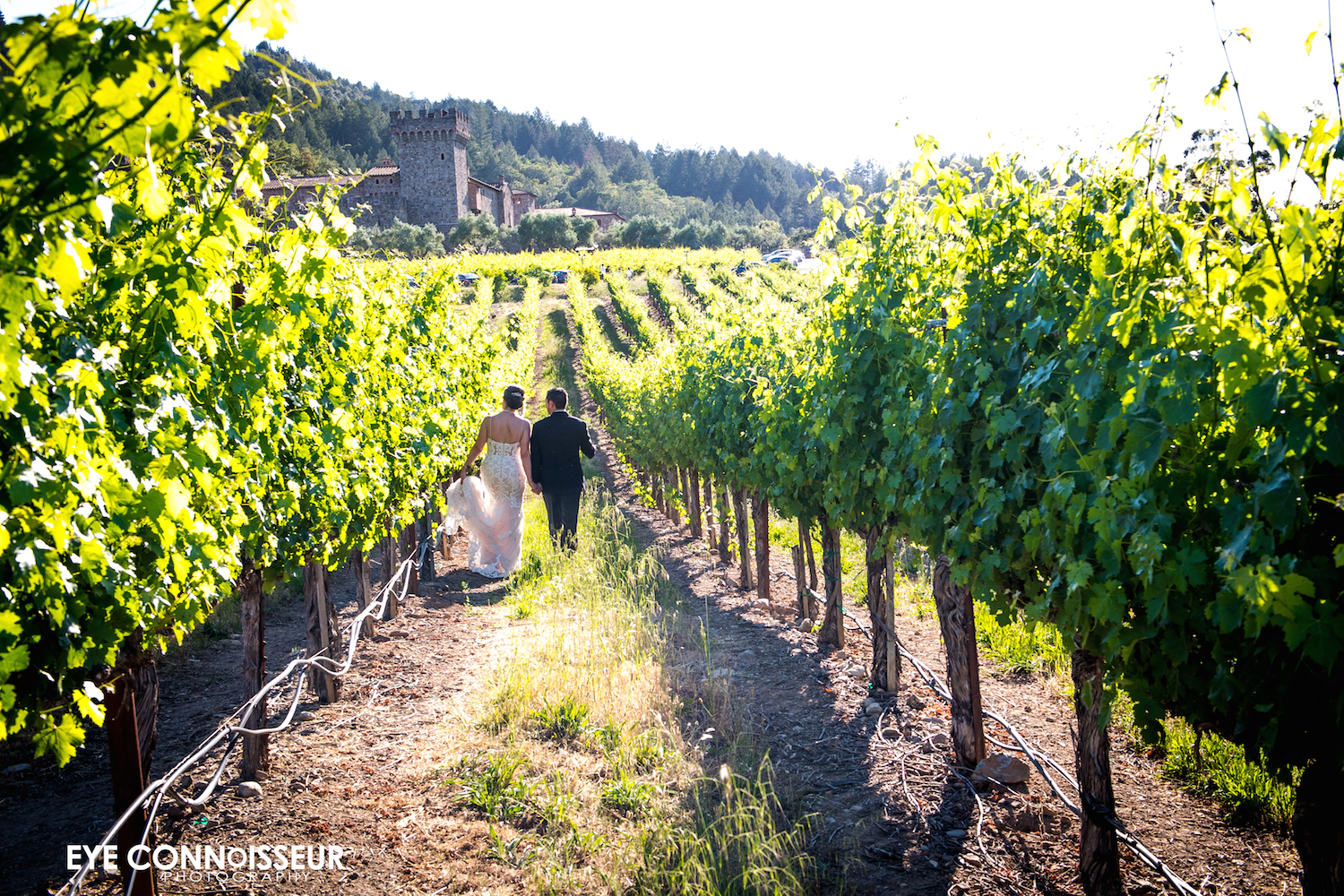 NAPA, CA