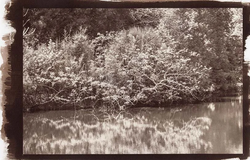 Salted paper print gold toned