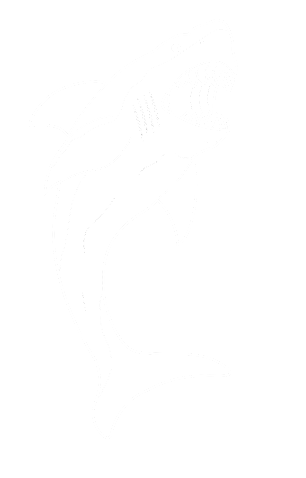WHITE SHARK PNG.png