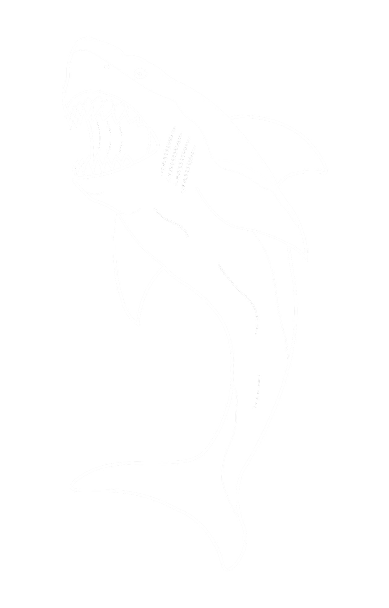 WHITE SHARK PNG left face.png