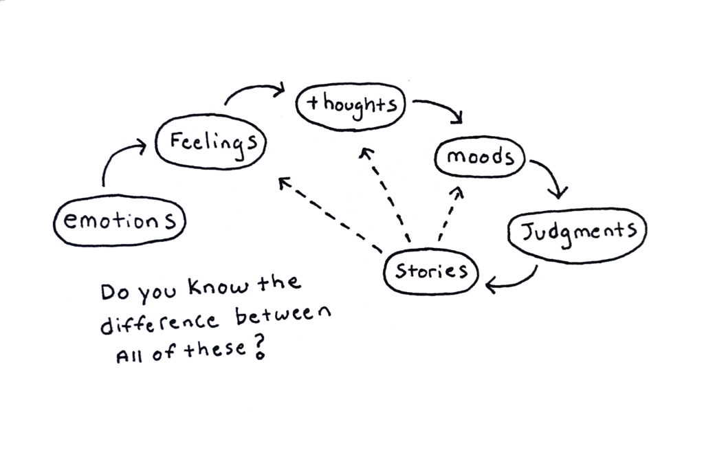 Emotions Vs Feelings Vs Thoughts Vs Moods Vs Judgments Vs Stories Unshakable Man Studio