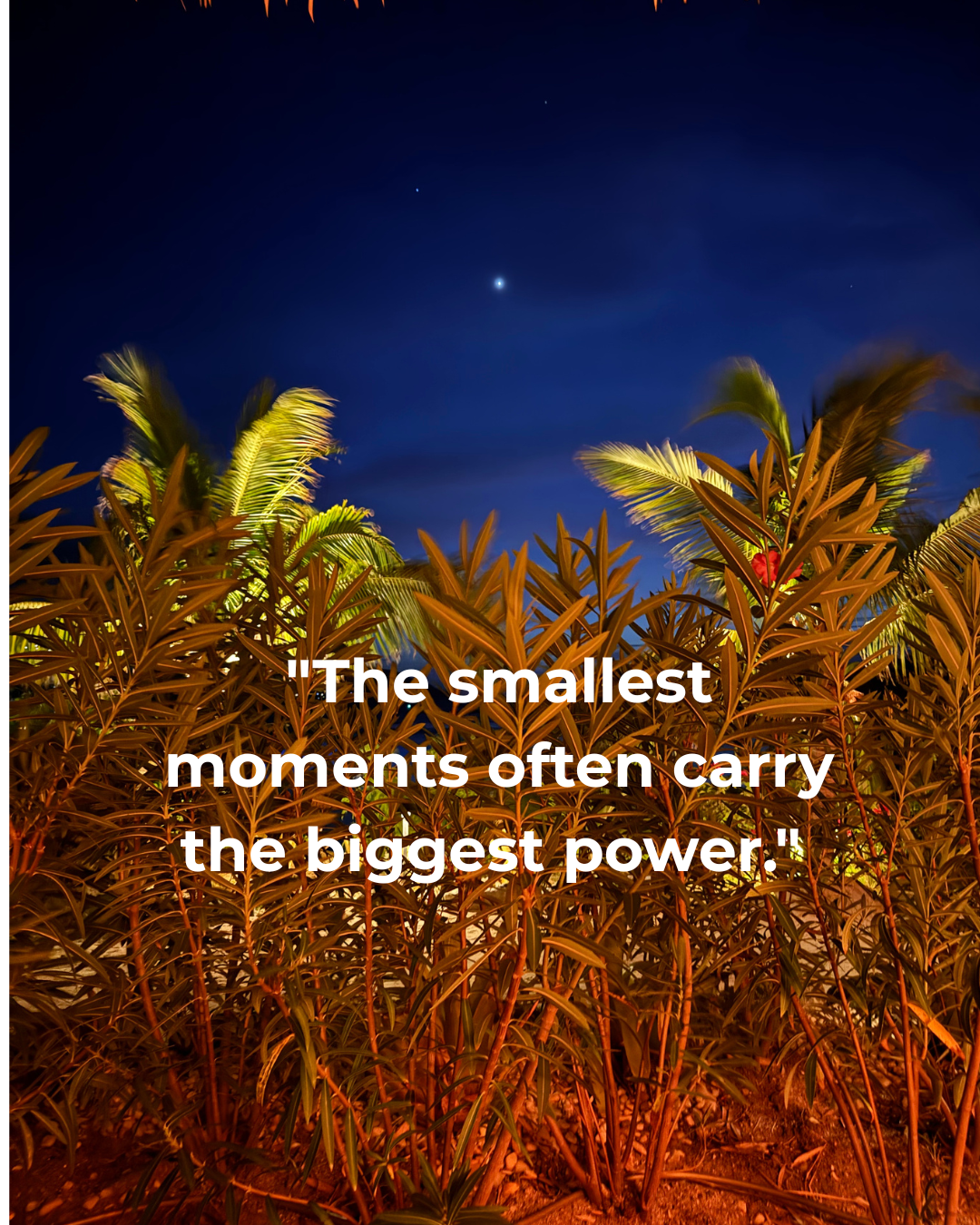 Break the Stress Response: Actionable Strategies with Micro-Moments for a 60-Second Reset