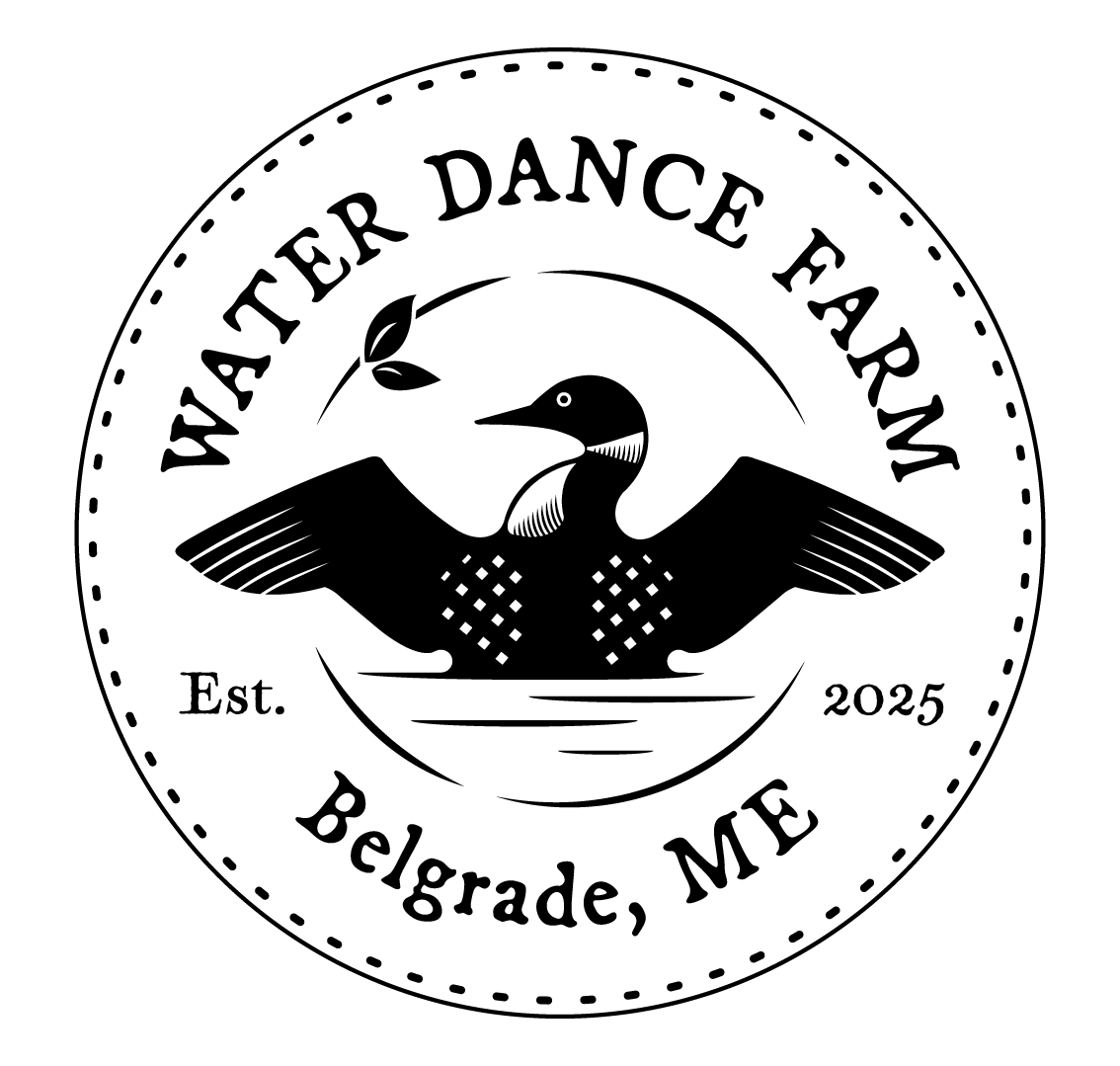 WDF Logo-05.png