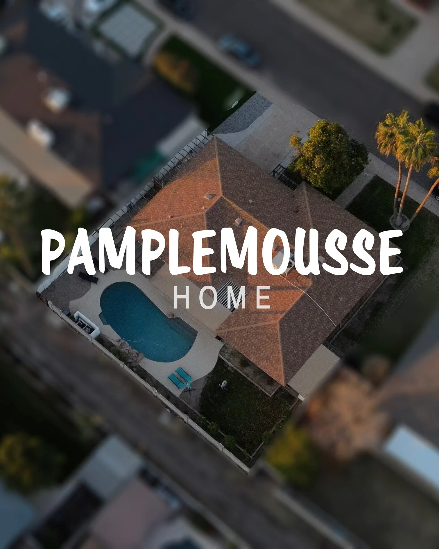 LAUNCHING NEW HILDE HOME: PAMPLEMOUSSE