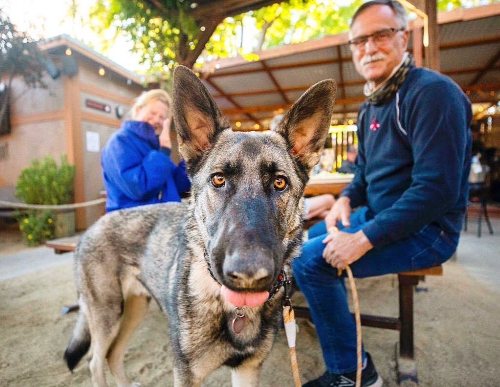 It&rsquo;s a great day for a dog date!
Treat your four legged friend to a Patio Patty in the beer garden! 

📸Hops is one of our favorite canine regulars, and we&rsquo;ve loved watching him grow up since his humans started bringing him in as a wee pu