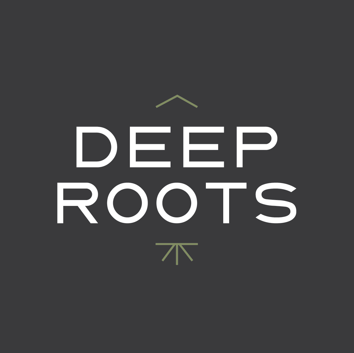 Deep Roots Business Solutions