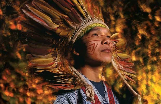 Ayahuasca: O Chamado