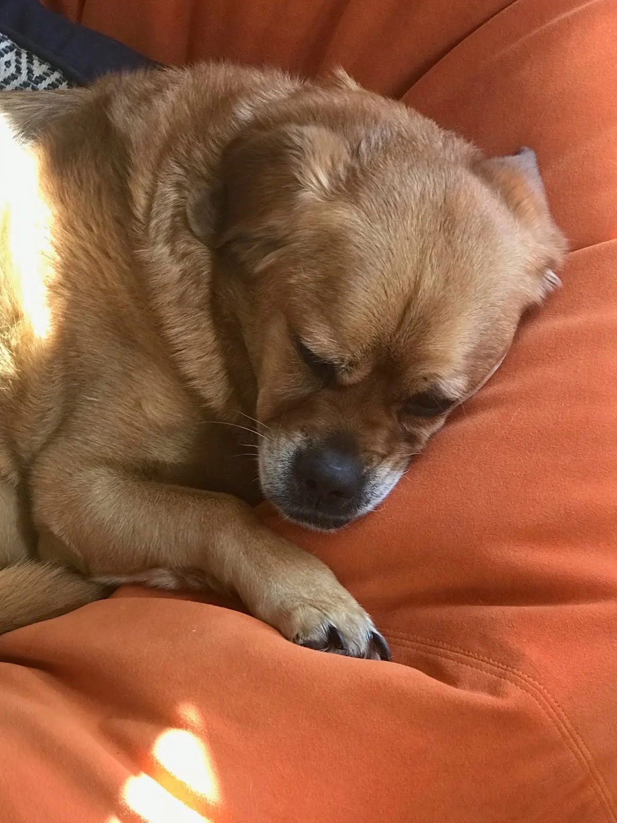 Nala, o Silencio do Amor