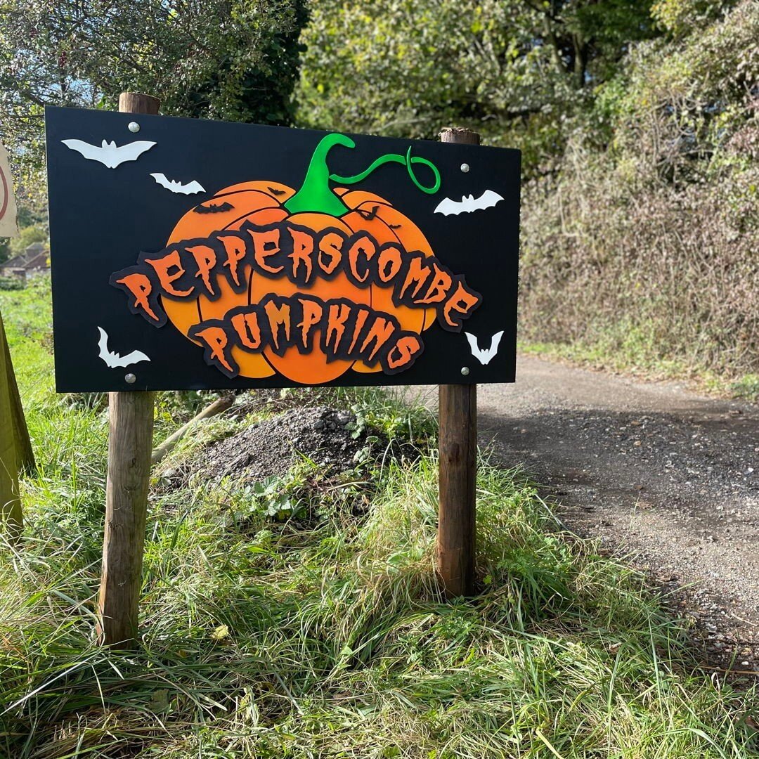 We've got an amazing new sign, made by the talented @kraftbox_studio. Last weekend to pick your pumpkins @pepperscombefarm.  Book your tickets at: https://buff.ly/46E9SFY #halloween #pumpkins #pumpkinpicking #steyningbusiness