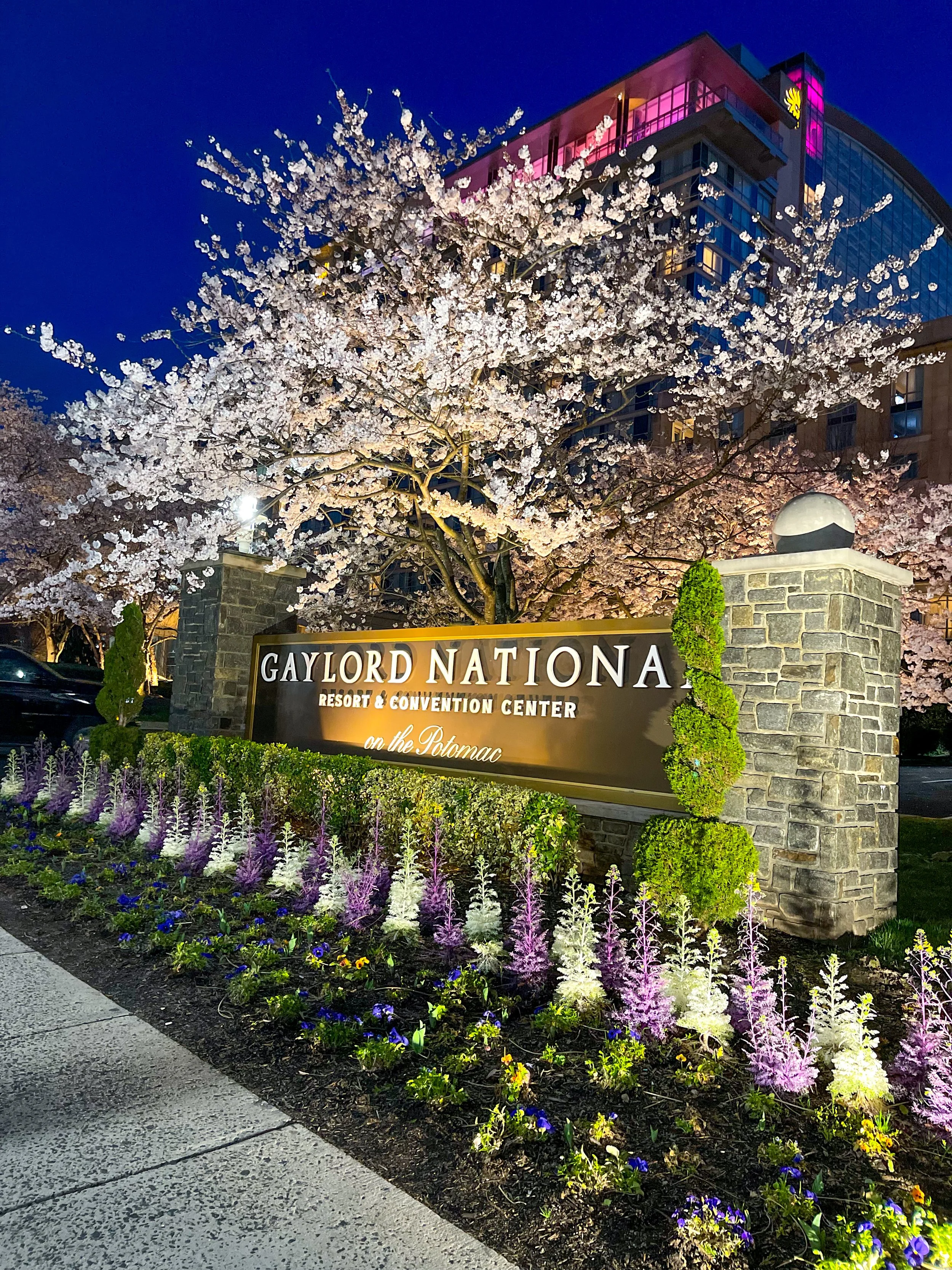 Ultimate 2-Day Staycation with Kids: Exploring National Harbor and Old Town Alexandria