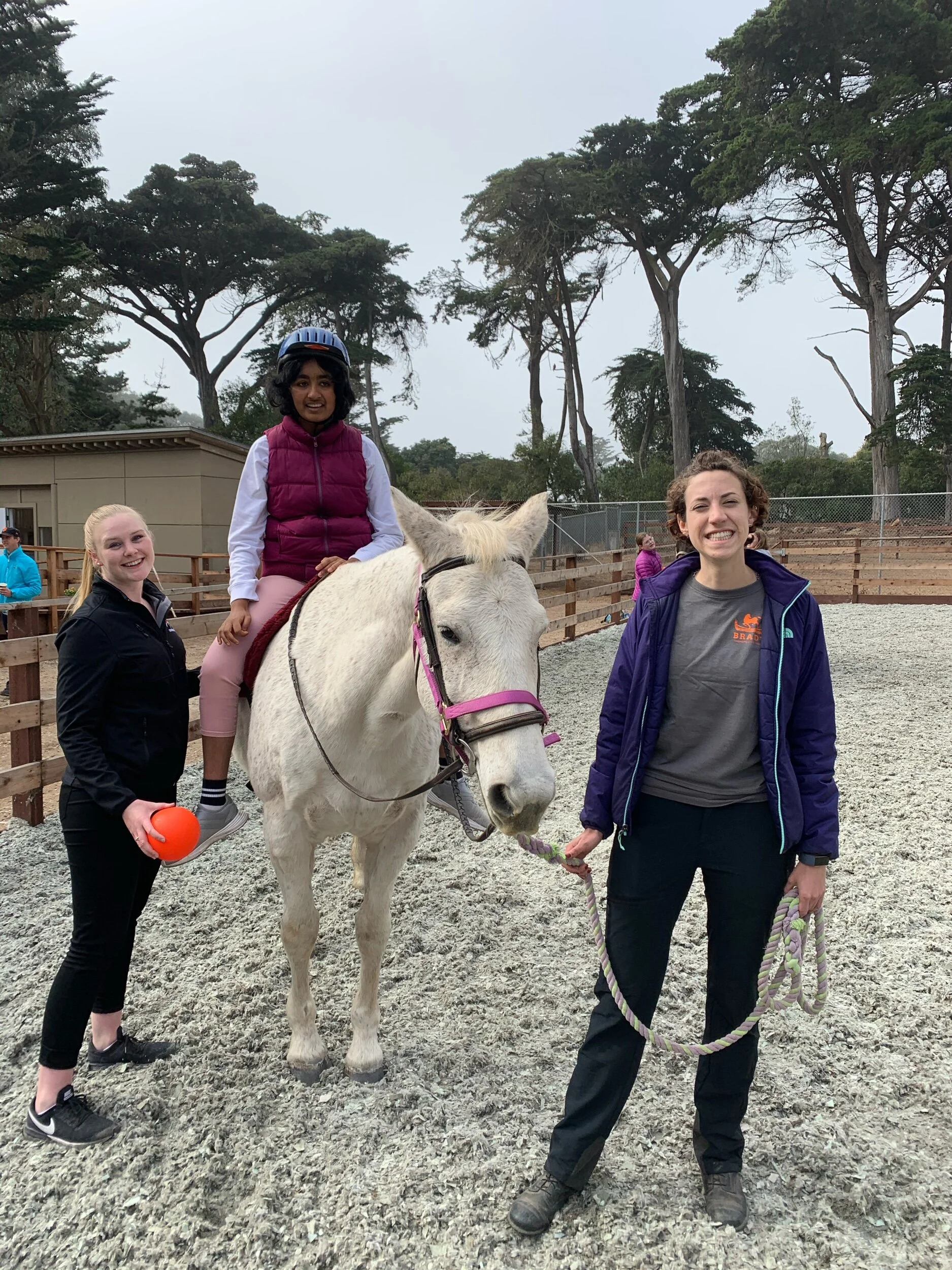 New Students Sign Up — Brady Riding