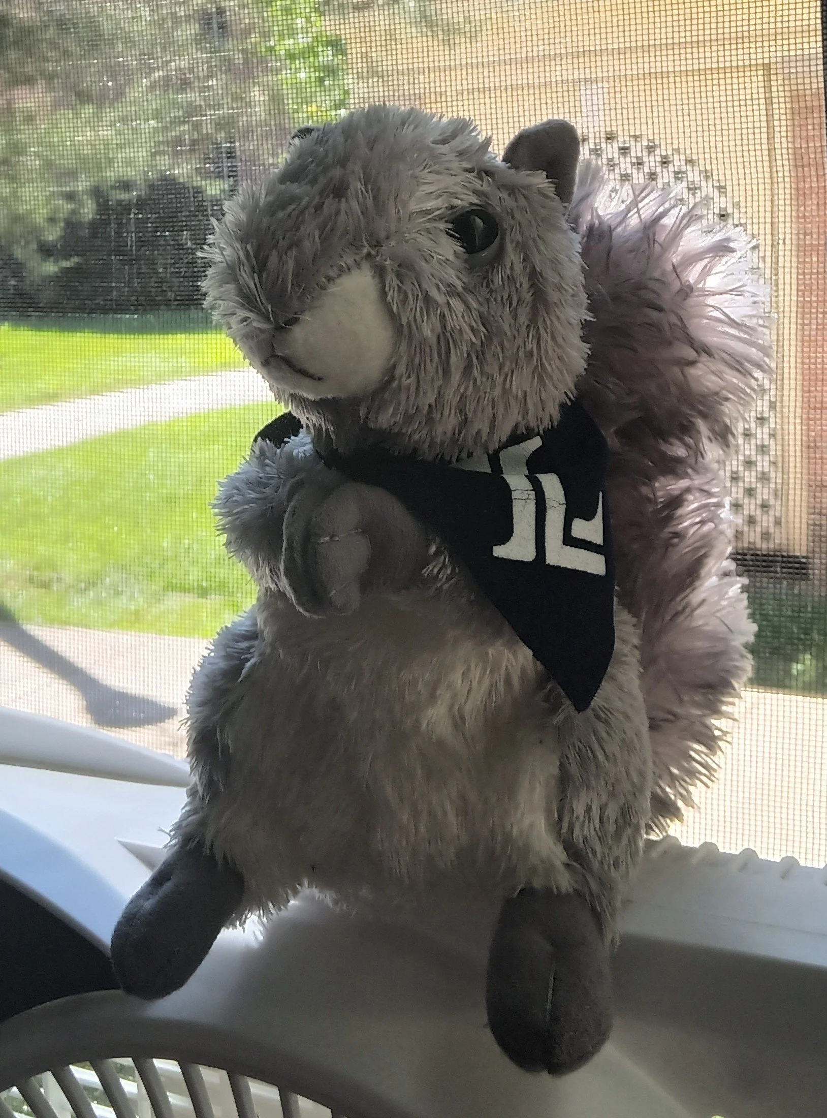 Lyco Squirrel Hunt Hit