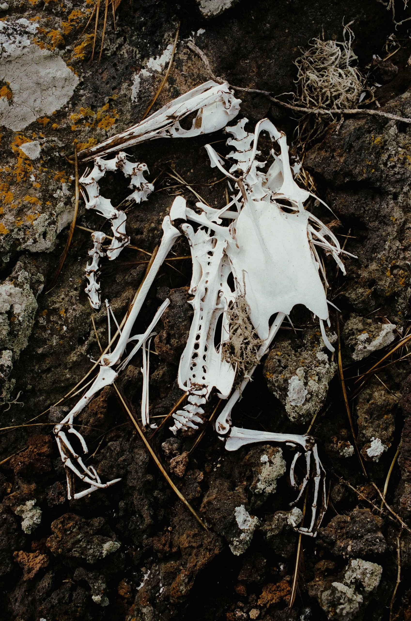 mount-43.jpg