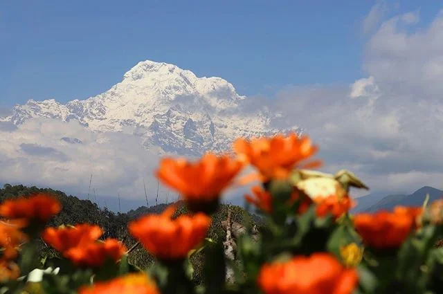 Wonderful view of the Himalayas at Australian camp. Don’t ask me why the Australians have their own camp near the Annapurna base camp. Imaginary jelly beans go to the person that can tell me why. •
•
•
•
#photographer #photo