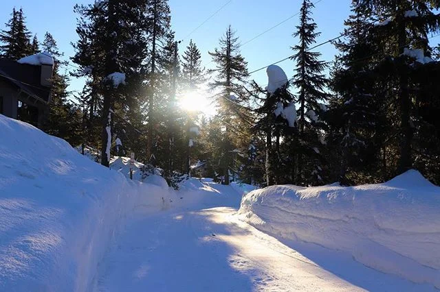 More snow!
•
•
•
•
#photographer #photooftheday #photography #canon #awesome #artofvisuals #aov #mood #pnwonderland #exploretocreate #passionpassport #moodygrams #visualsoflife #oregon #snow #winter #winterwonderland #snowday #sun