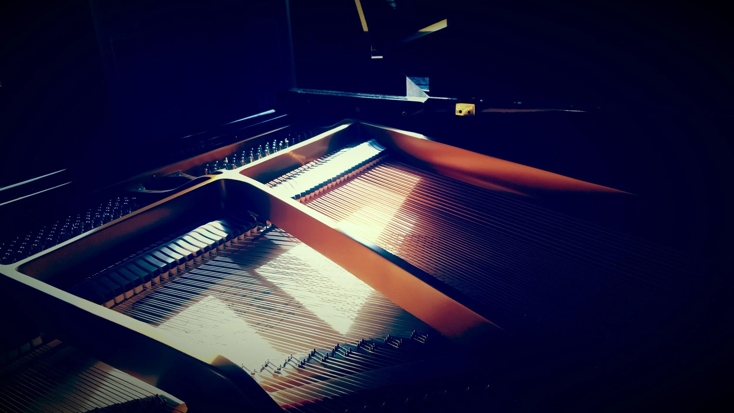 light on dark strings wider pan.jpg