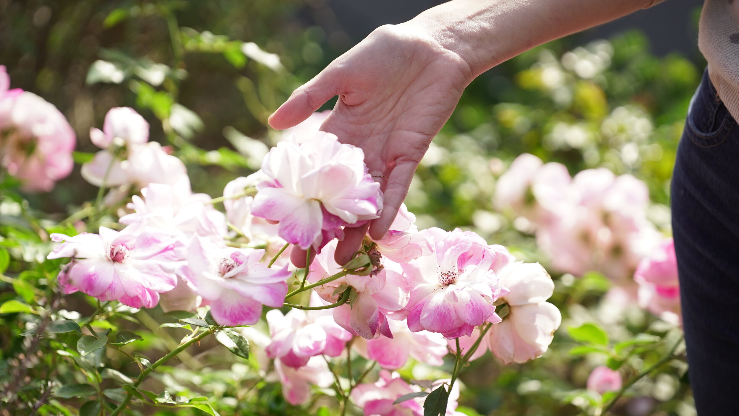 What Are Your Intentions for Spring?