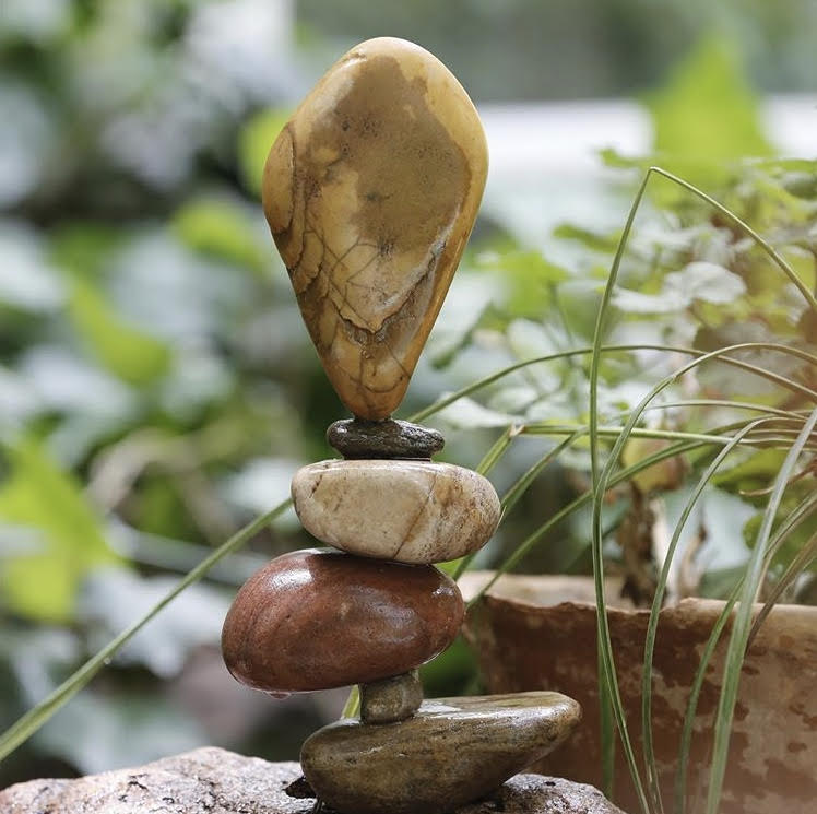 HOMEOSTASIS : THE MAGICAL BALANCE THAT KEEPS US MOVING