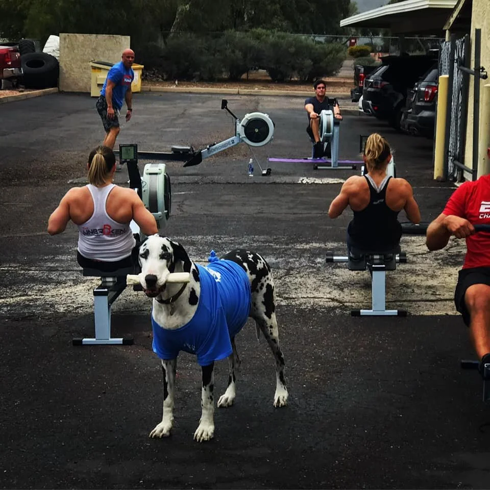 Tuesday, May 18th, 2021