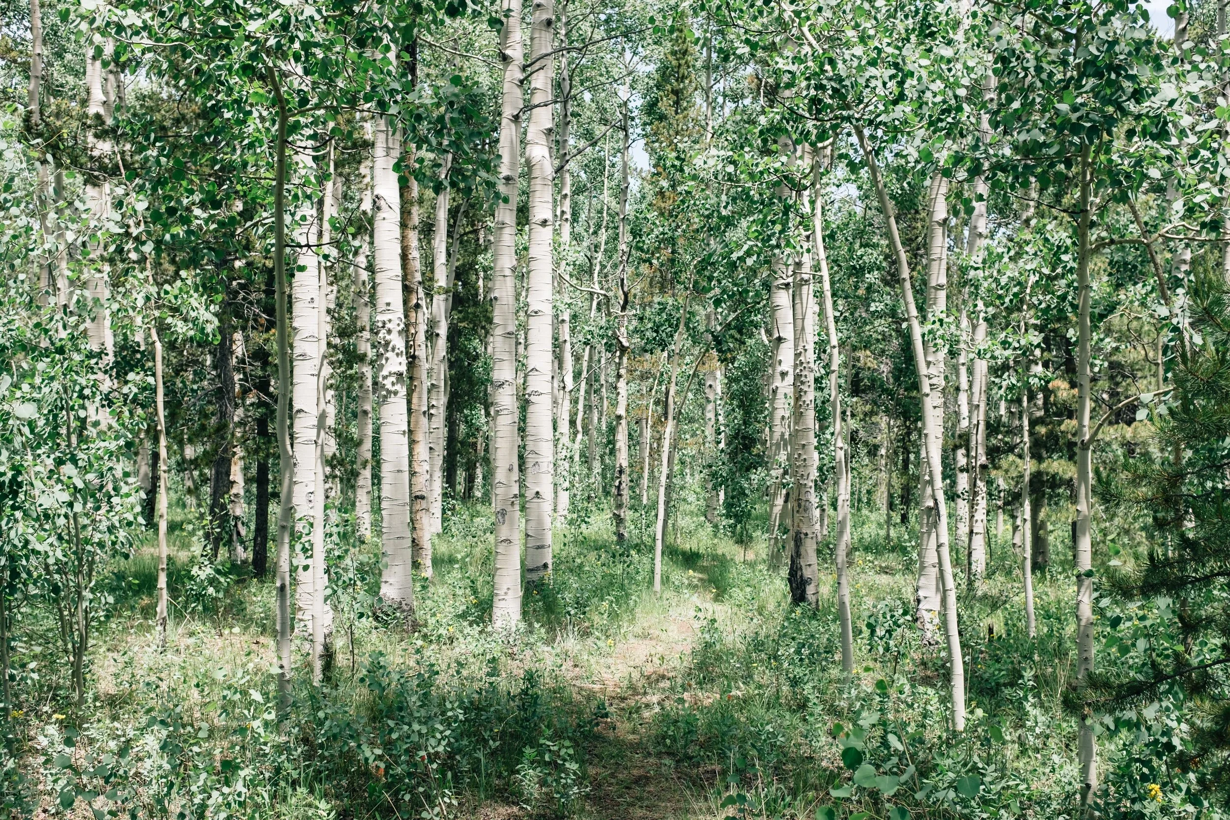 Thursday,  July 8th, 2021  