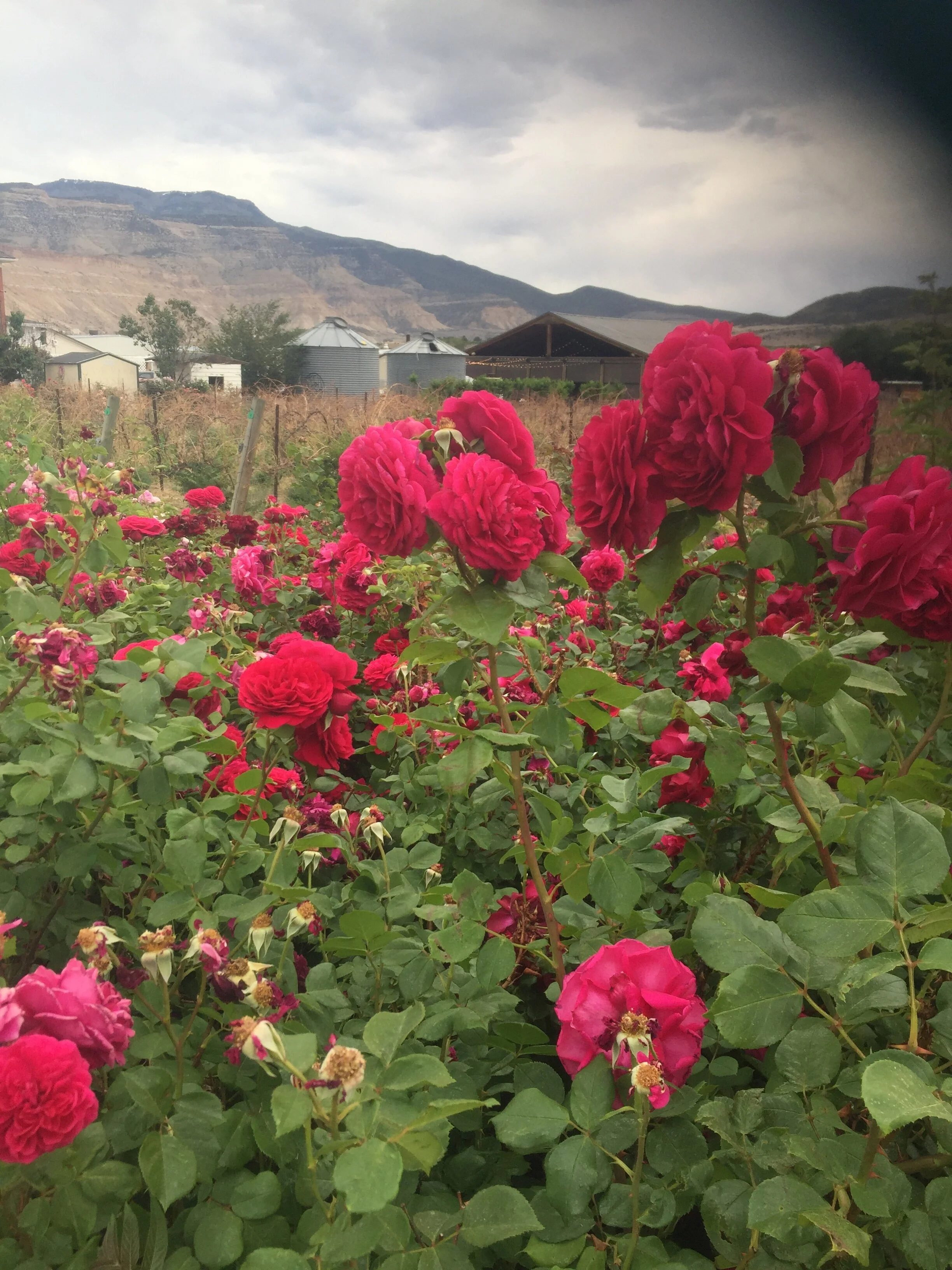 Wednesday, September 1st, 2021