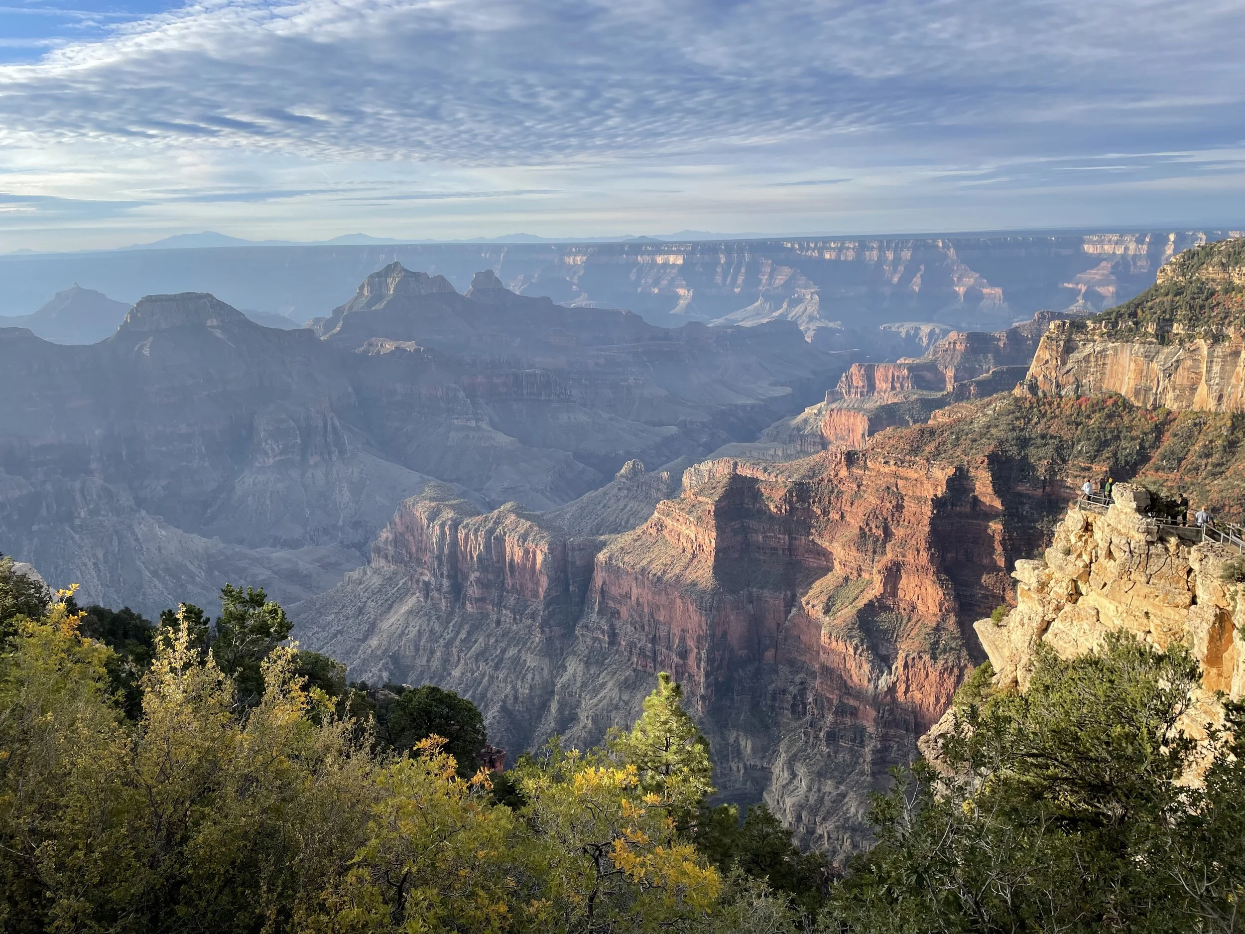 Live Sessions Cancelled Oct 1st -10th 