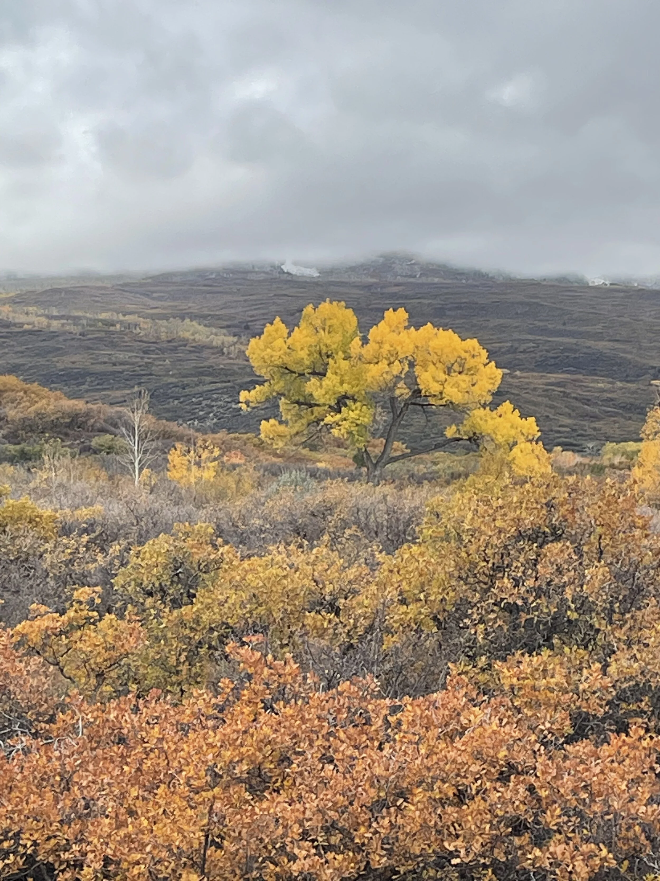 Monday, October 18th, 2021