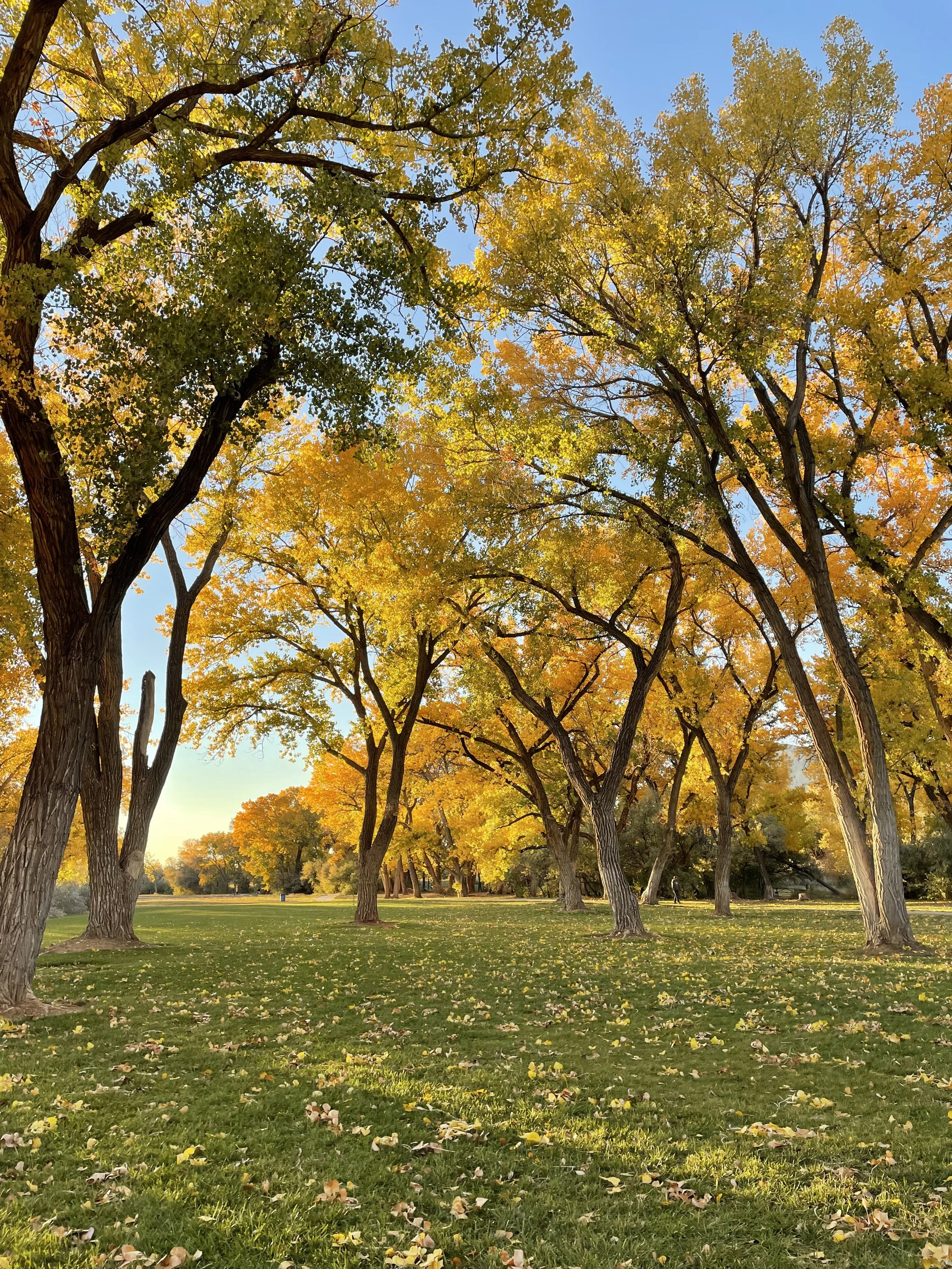 Monday, November 1st, 2021