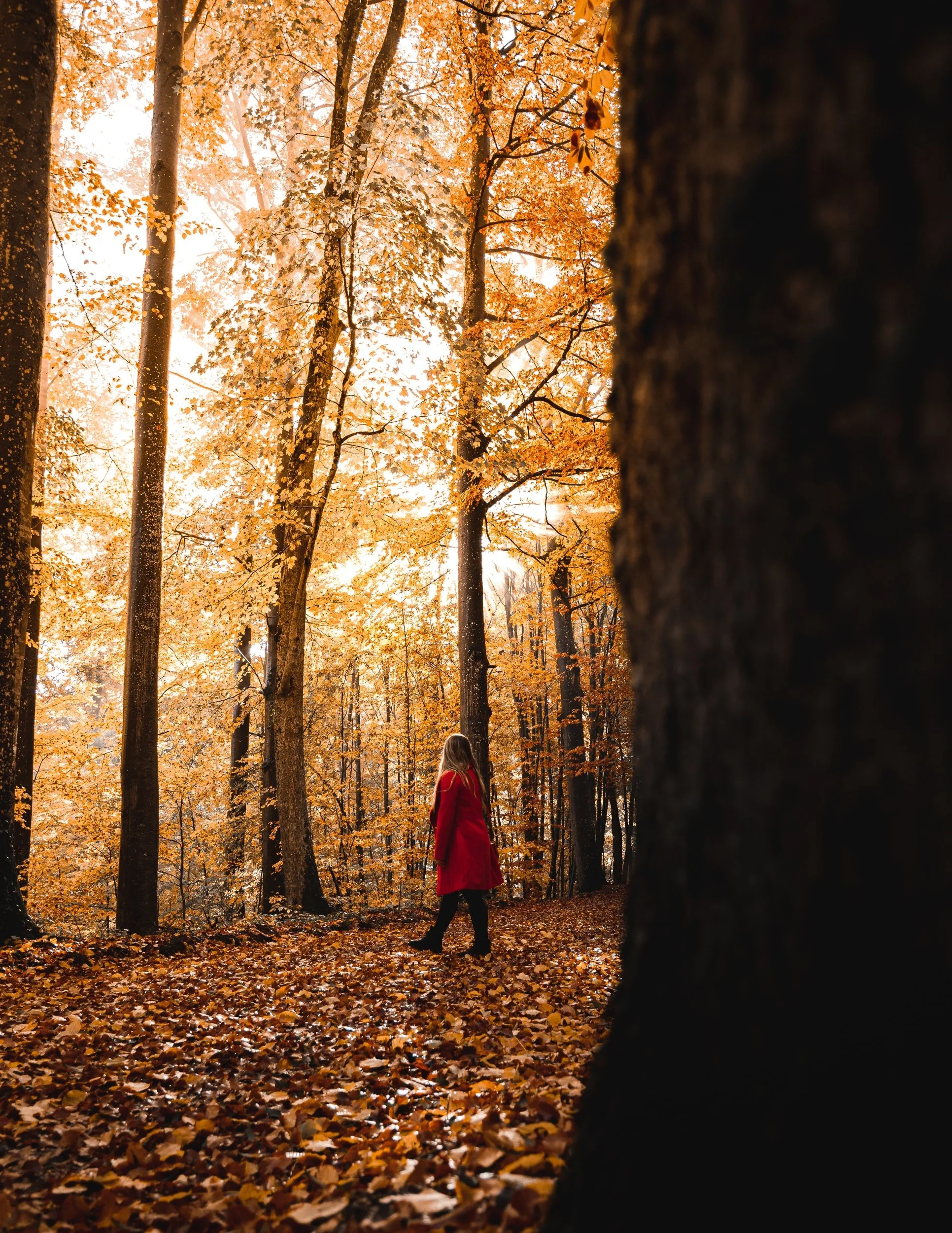 Wednesday, November 3rd, 2021