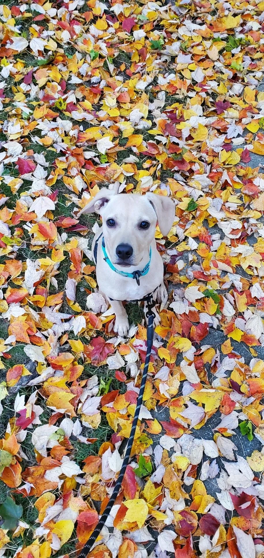 Monday, November 8th, 2021 