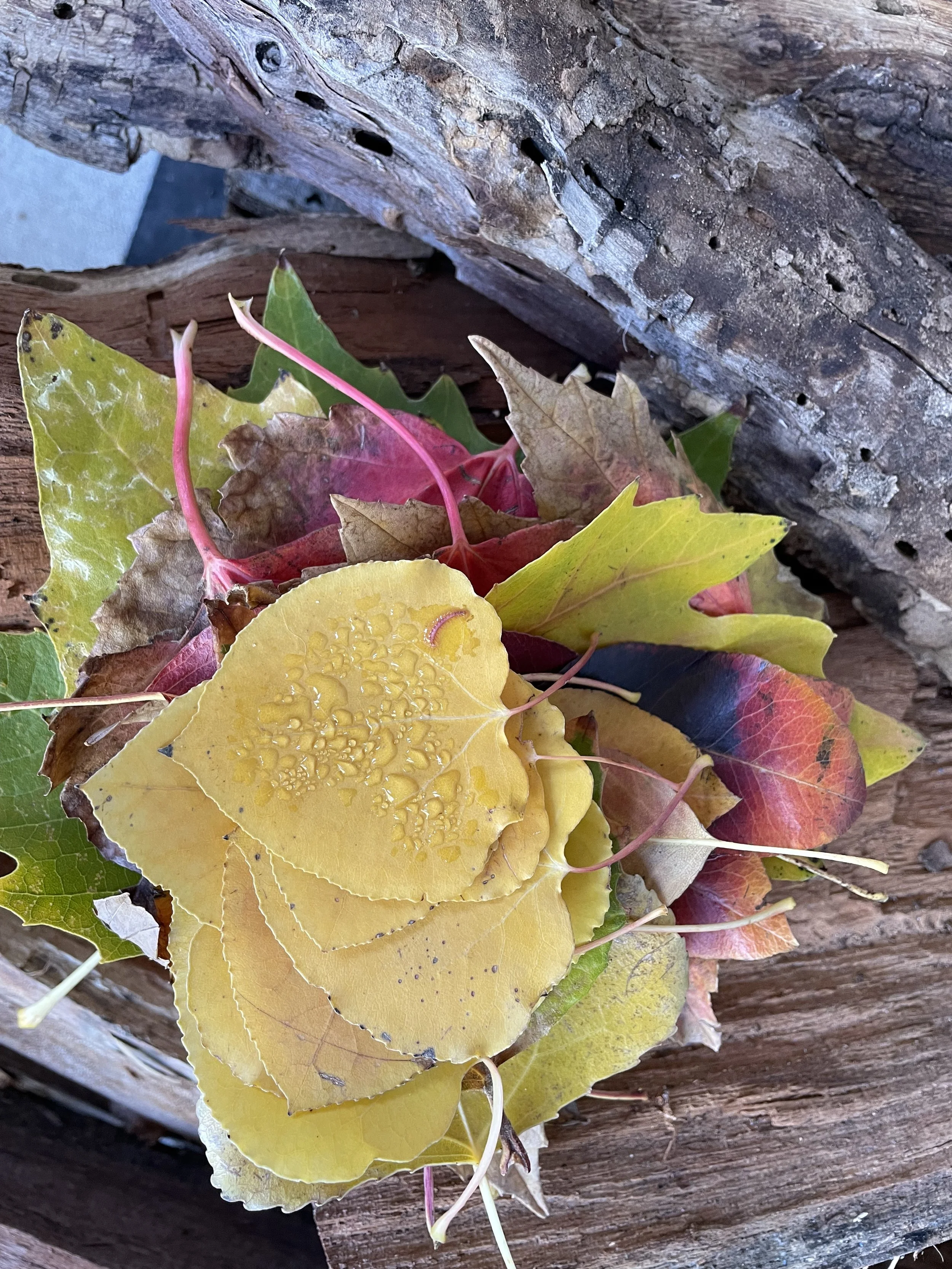 Tuesday, November 9th, 2021 