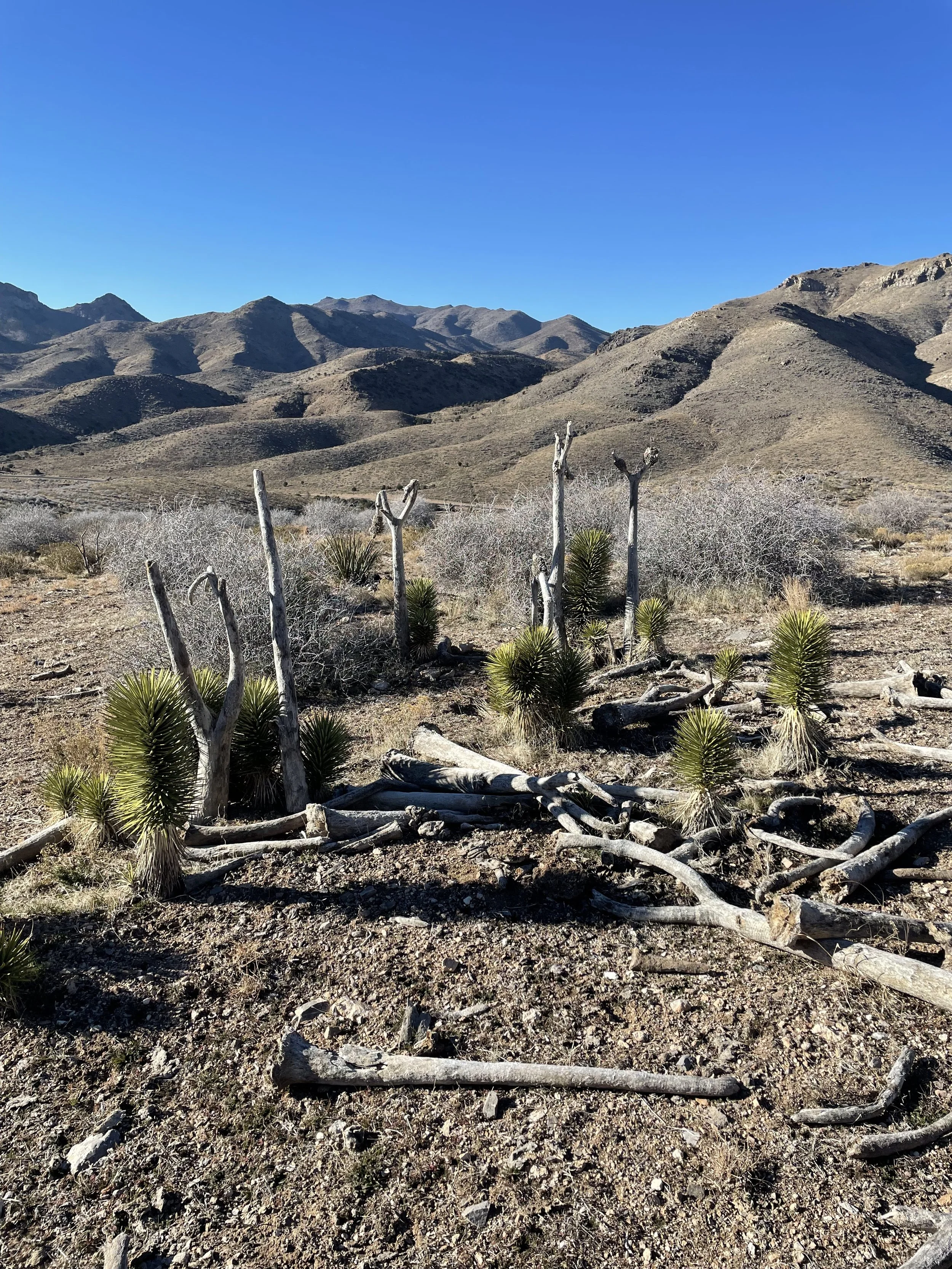 Tuesday, February 1st, 2022 