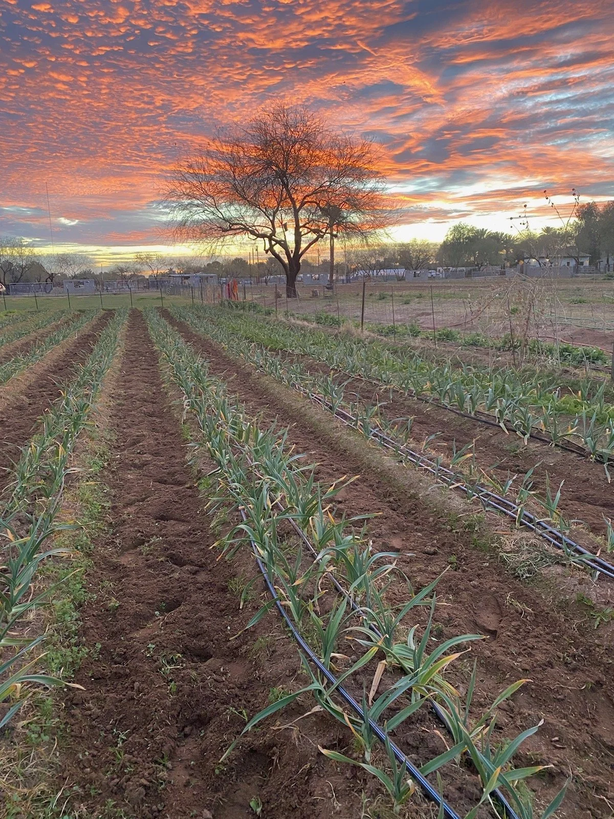 Monday, February 7th, 2022 