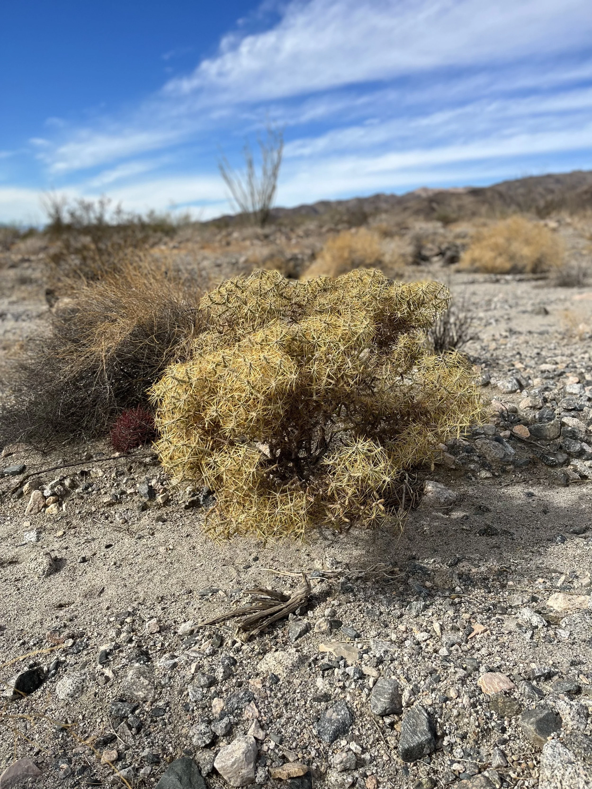 Wednesday, March 23rd, 2022