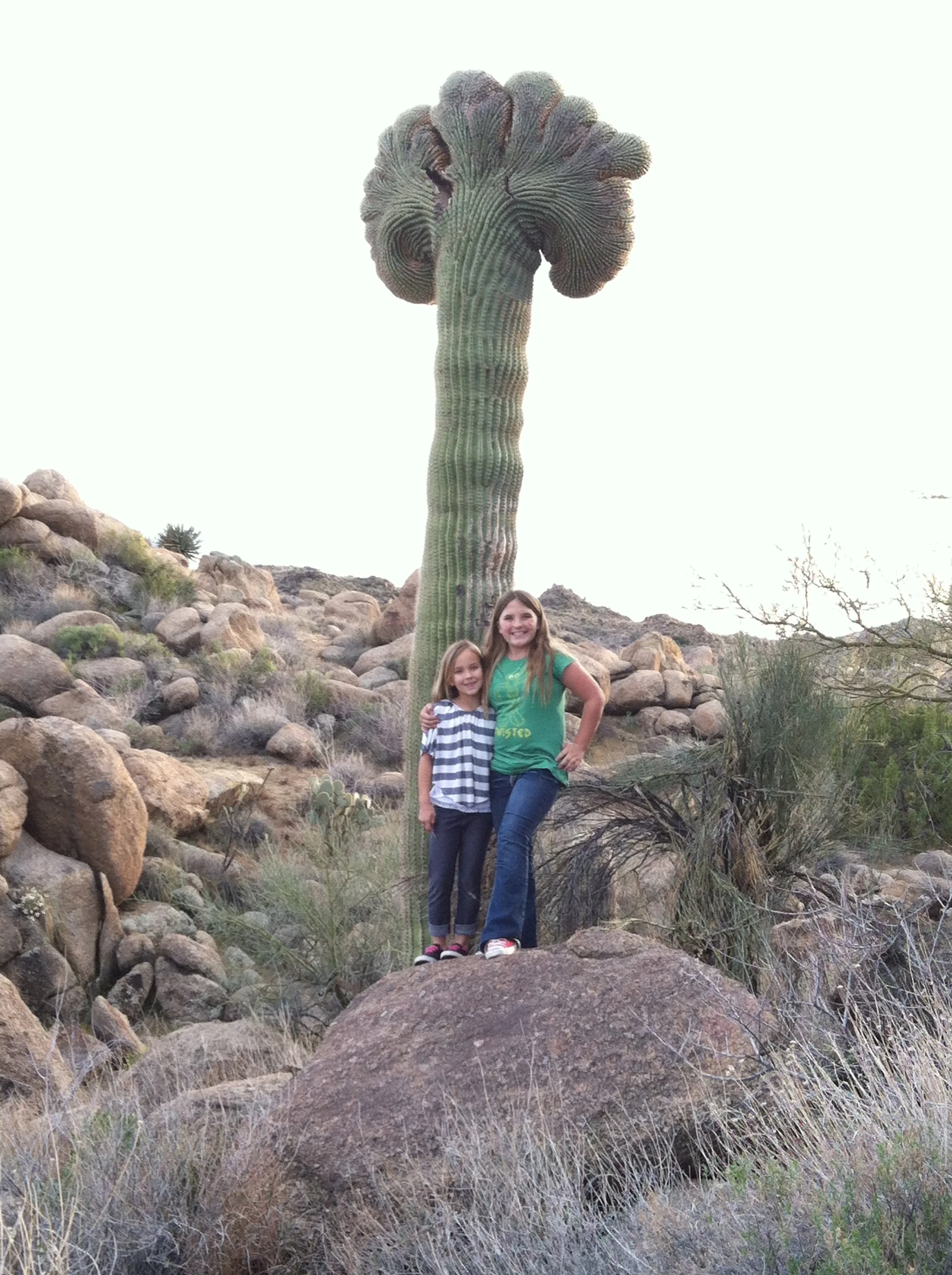 Monday, April 11th, 2022