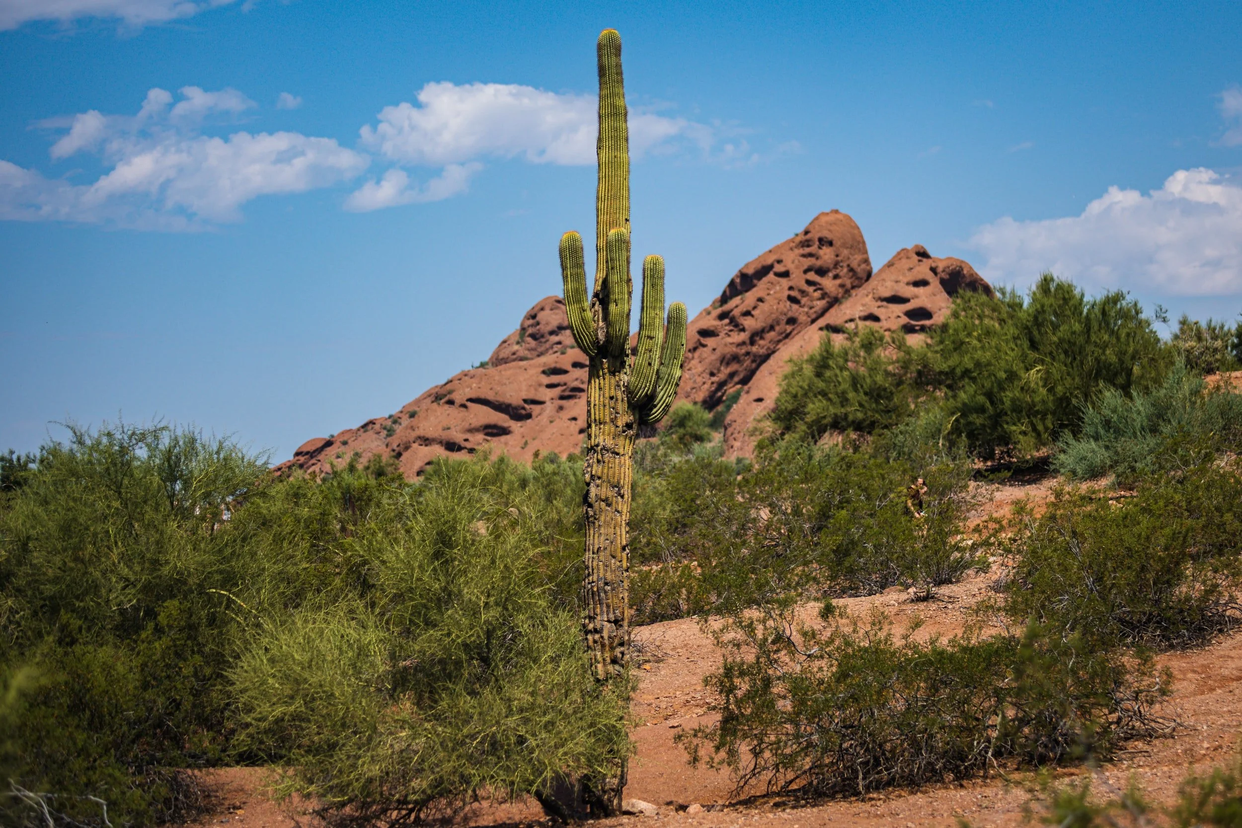 Tuesday, April 12th, 2022