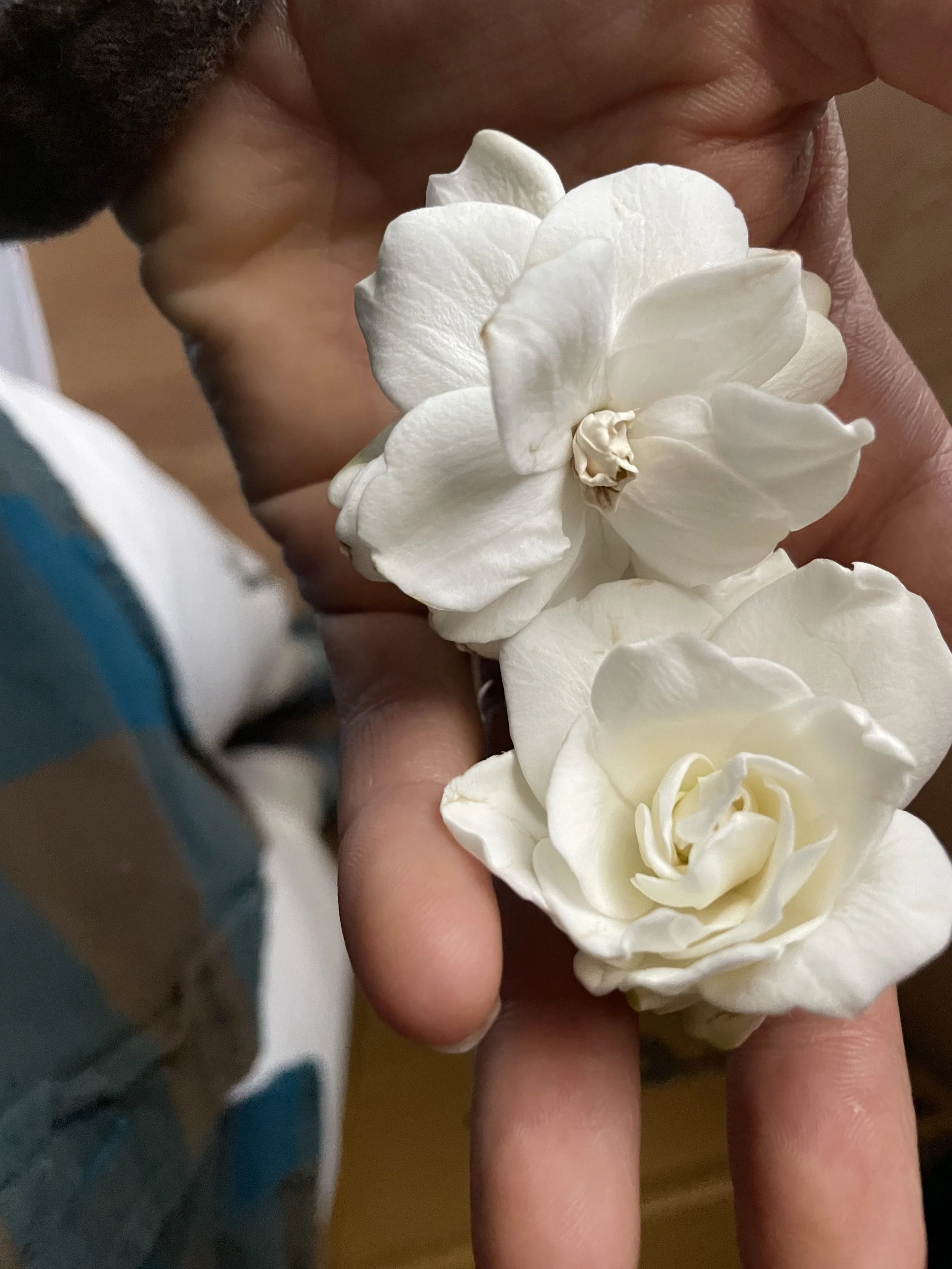 Monday, May 23rd, 2022