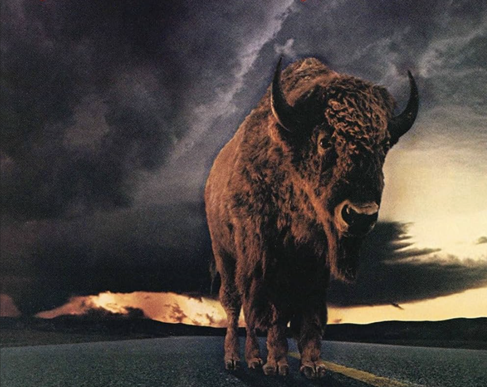 NCC PRESENTS "ORIGINALS ONLY "   with Bourbon Sprawl, Hal and Pals, Grim River