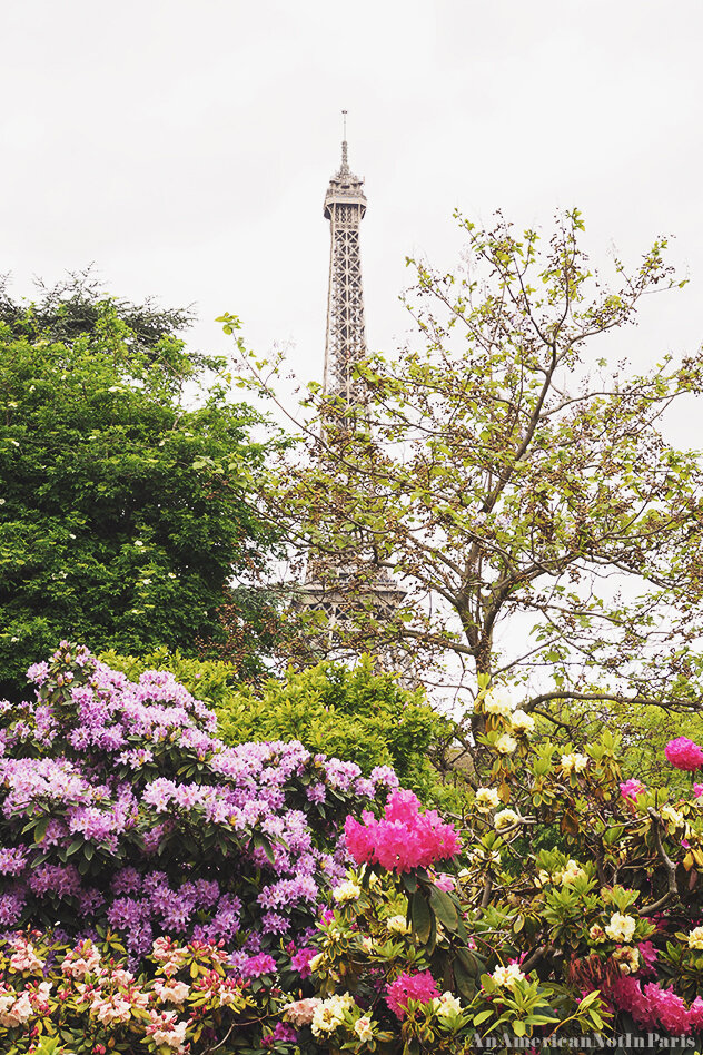 EiffelTowerFloral.jpg