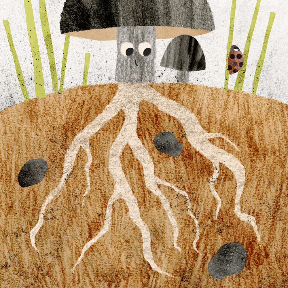 Animated GIF — Danielle Ridolfi – Illustration | Graphic Design