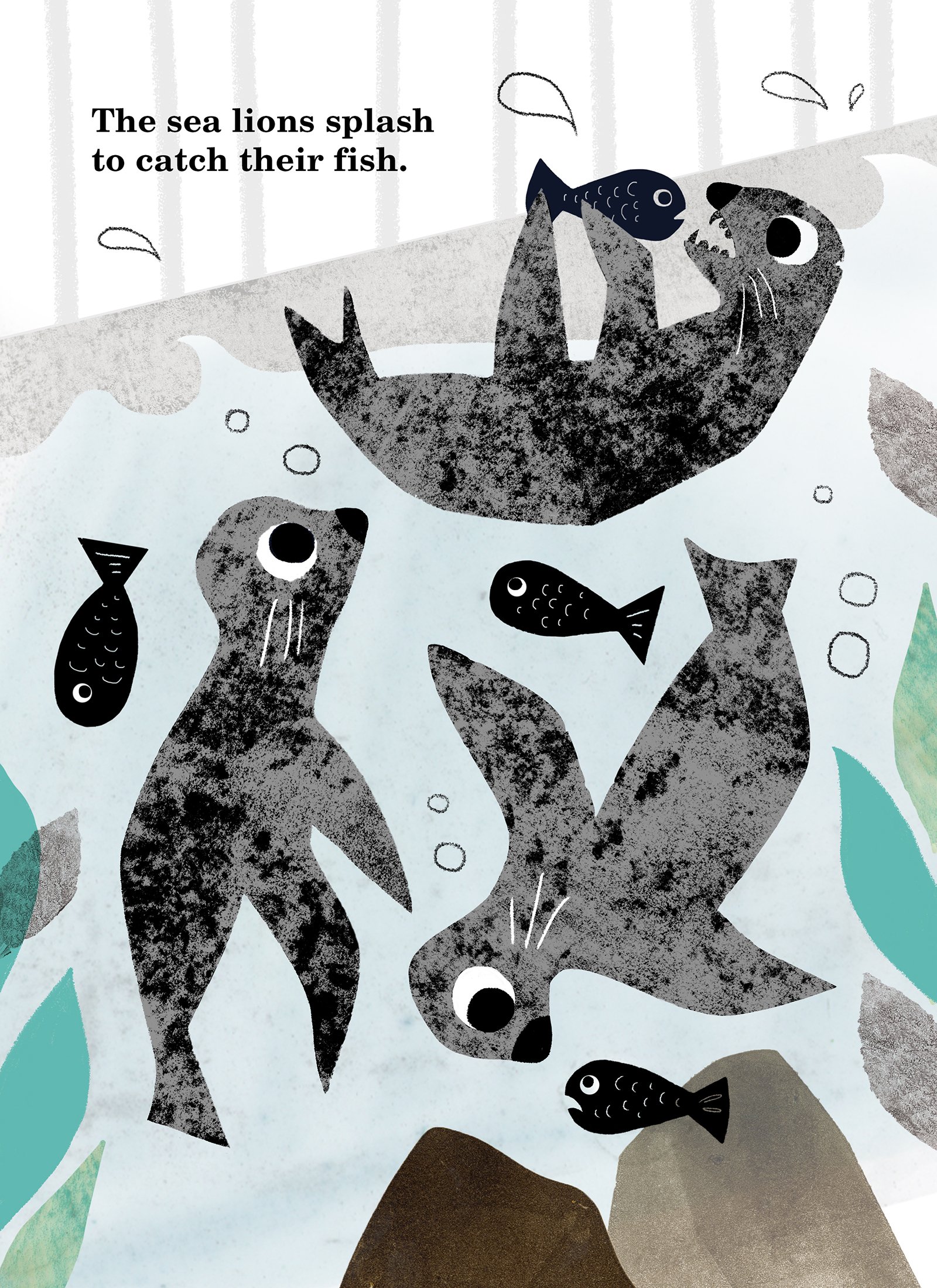 SeaLions copy 2.jpg