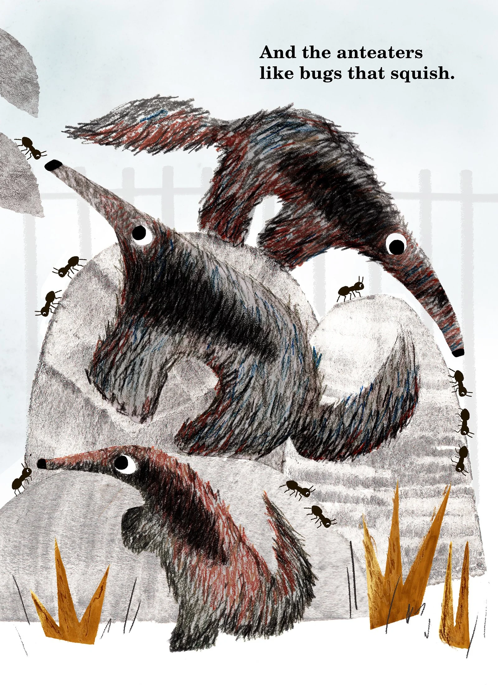 ZooBook_Anteaters copy 2.jpg